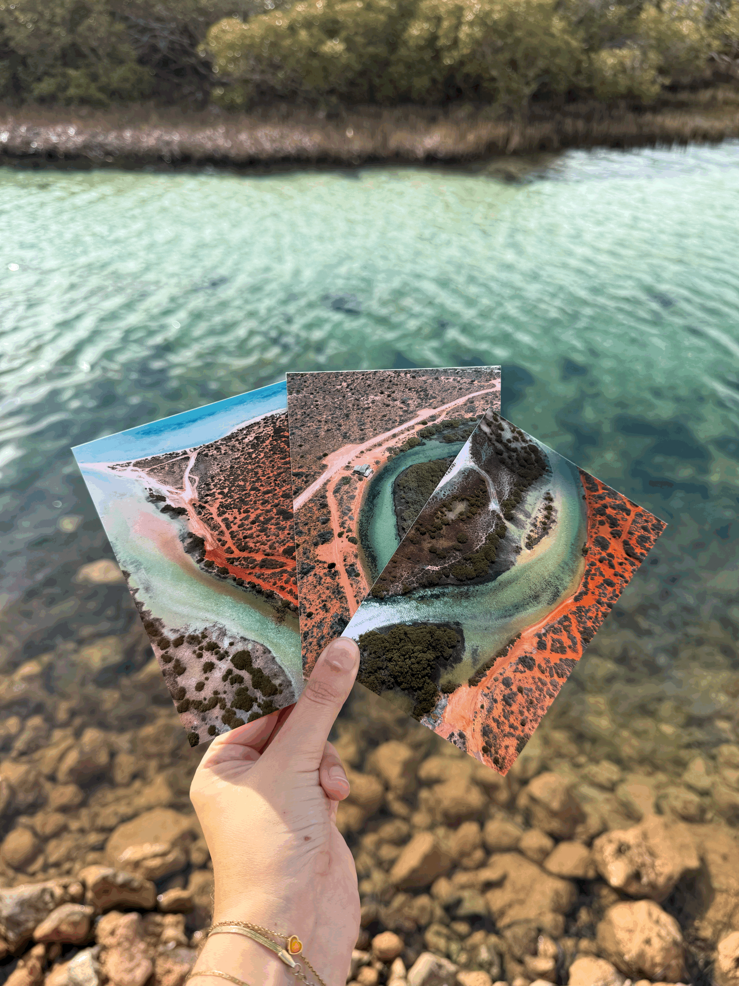 Postcard Packs
