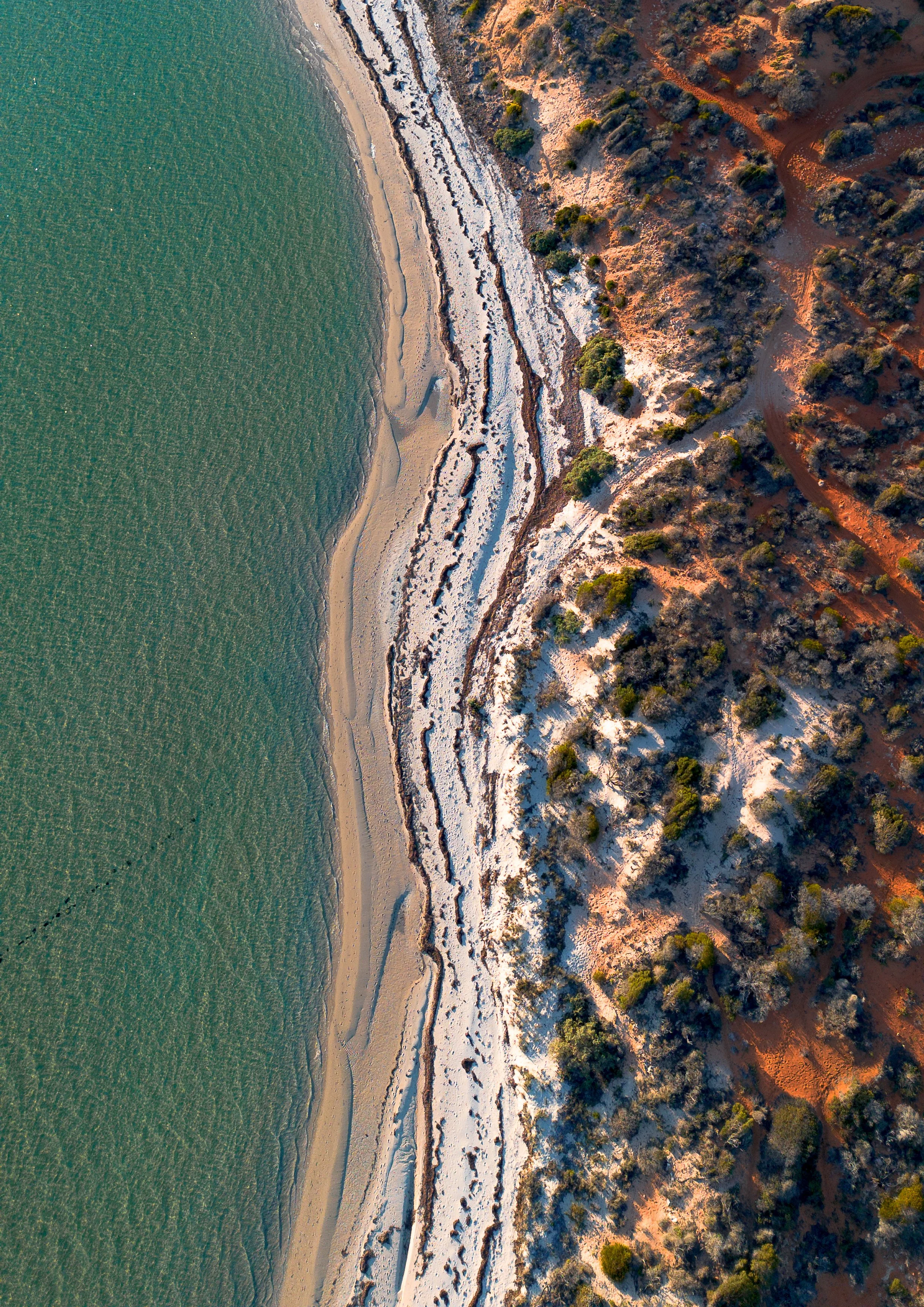 A4 Print of aerial view of Netta's Beach in Shark Bay, Western Australia