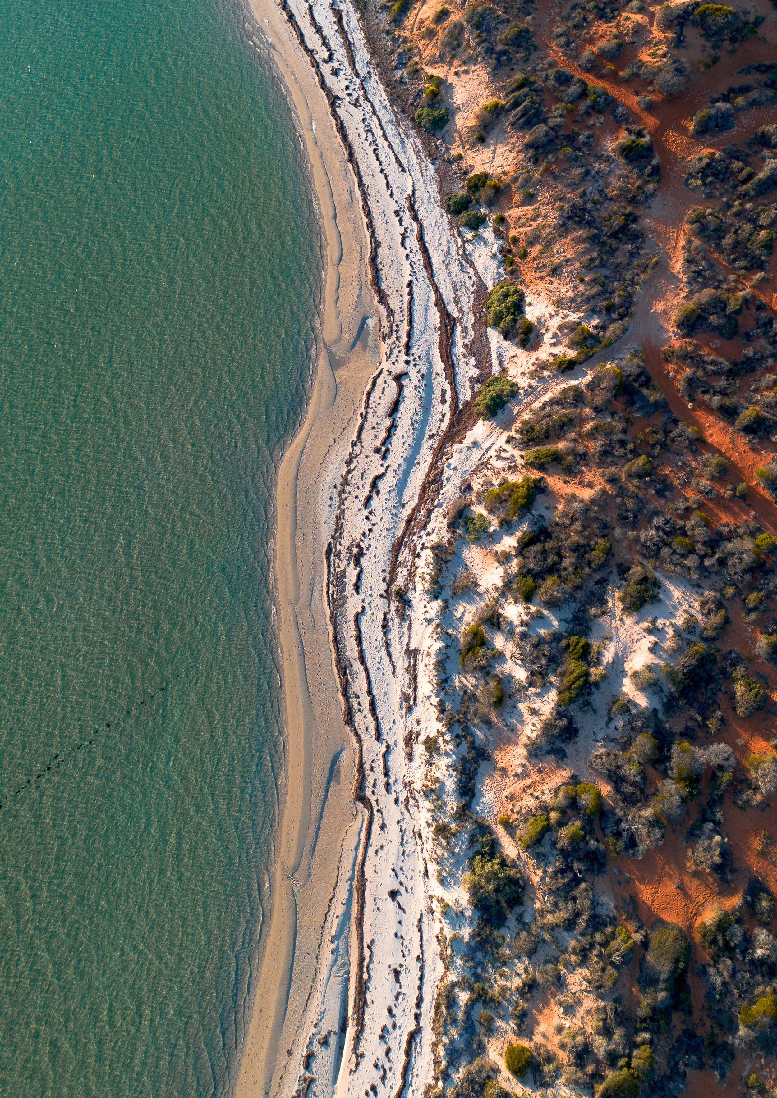 A3 Ariel photograph of Netta's Beach in Shark Bay, Western Australia