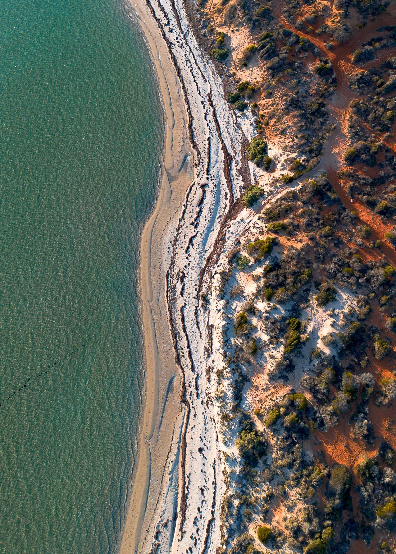 Netta's Beach Postcard