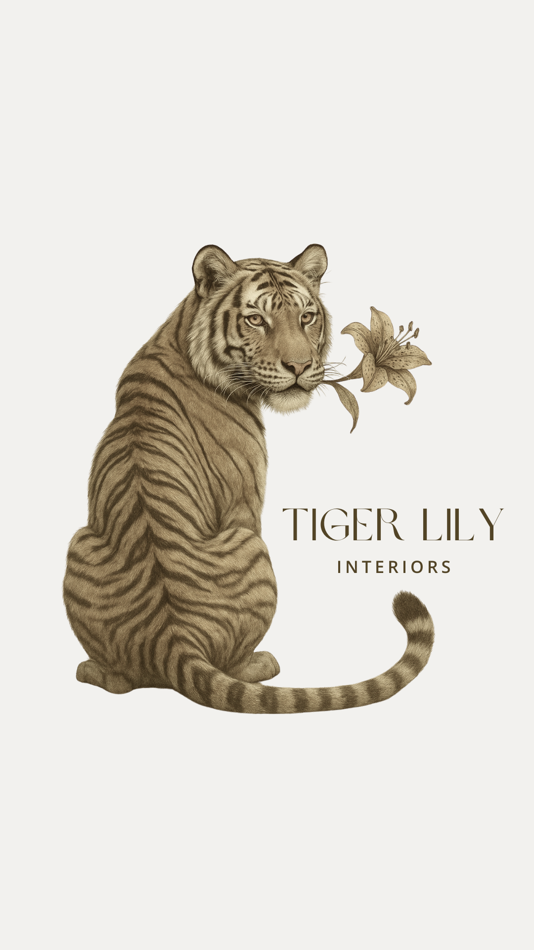 Illustration of a tiger with a lily in its mouth, with text reading 'Tiger Lily Interiors' on a light background.
