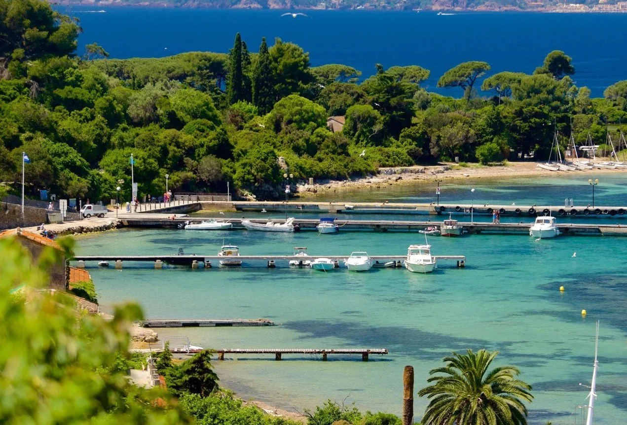 Un port avec plusieurs bateaux amarrés, entouré de verdure et d'eau turquoise, avec une forêt au fond.