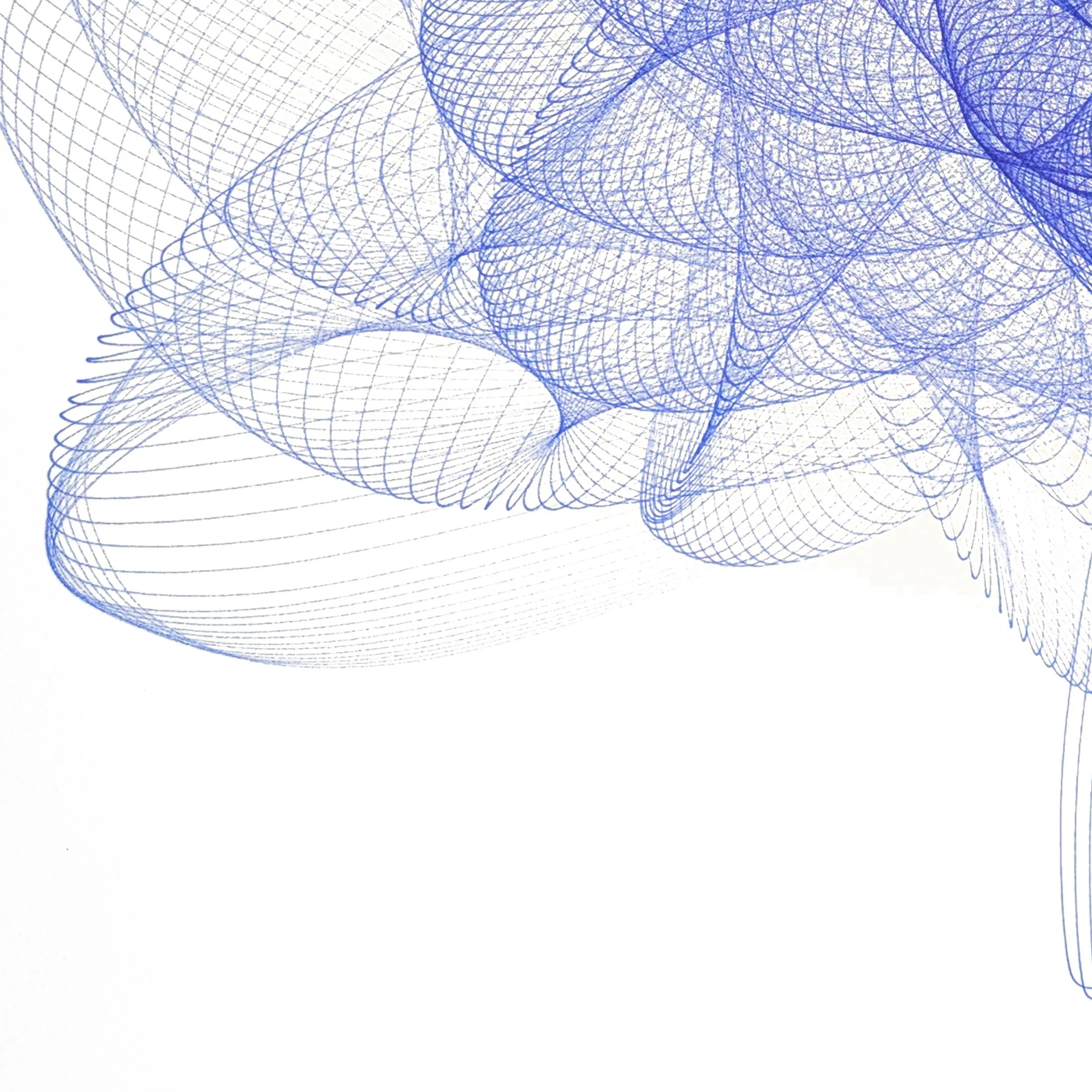 0050_241003_3500x500 processed_web_06.jpg