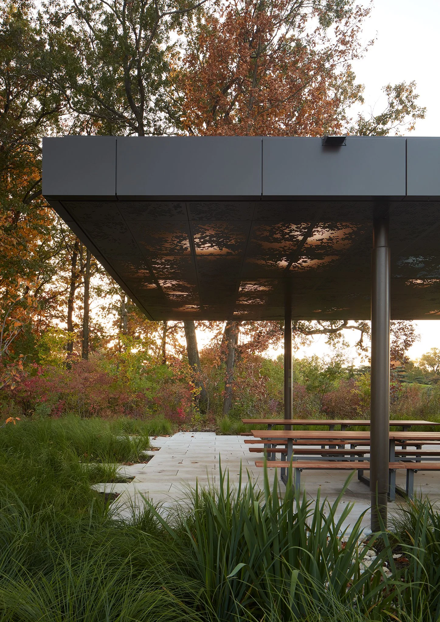 Photo Credit: Kendall McCaugherty