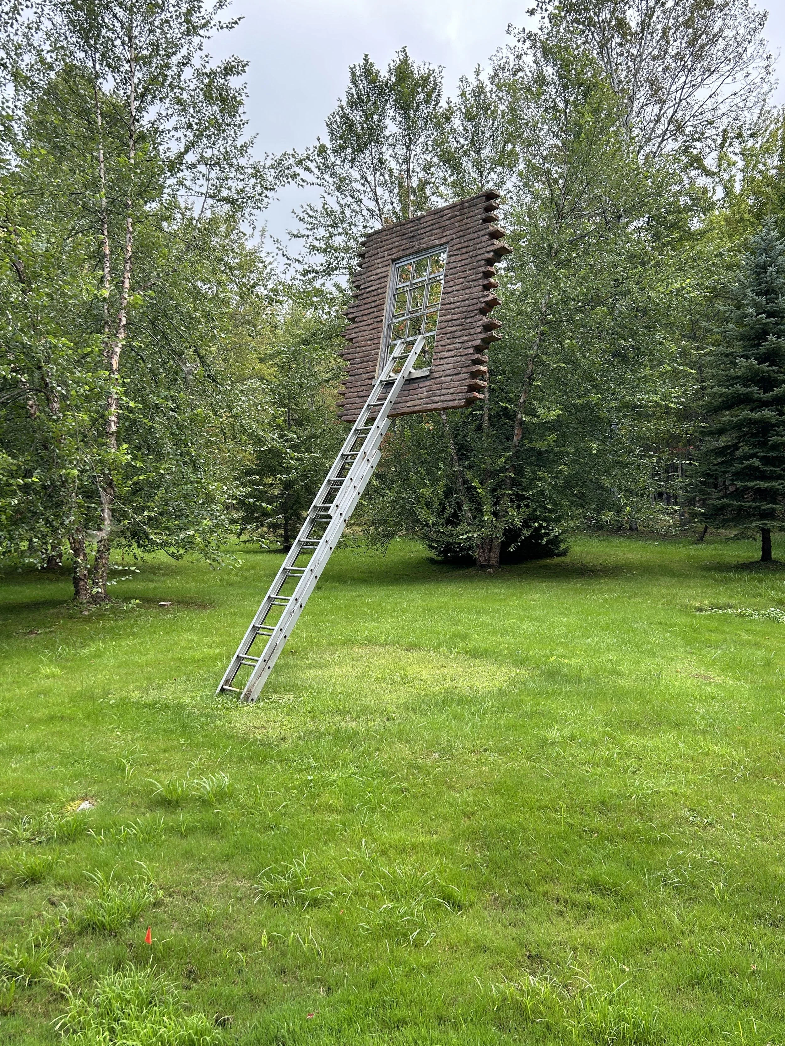 2024-08-28 12.59.20.jpg