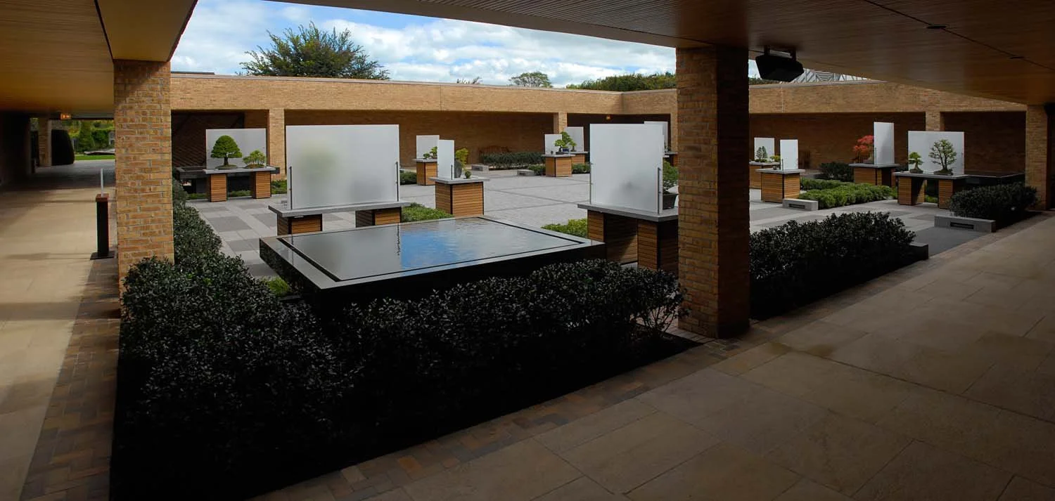 bonsai courtyard 9kk.jpg