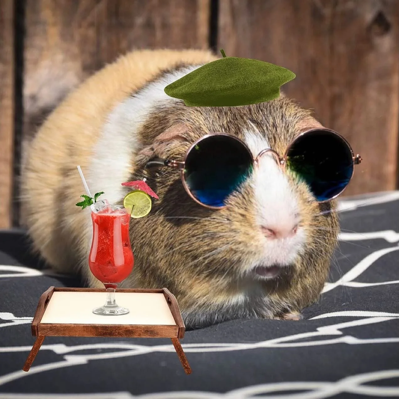 Summer #Vibes. 🍹☀️🔥 Make sure to *sniff* Pebbles, Speedy, Scooter &amp; Skeeter today on #Petzbe! 📲 🐾 Username: @ doggiesandguineapigs 💕❣️💕❣️ https://petzbe.app.link

#DogsOfPetzbe #CatsOfPetzbe #GuineaPigsOfPetzbe #PetzbeCommunity #PetSocialMe