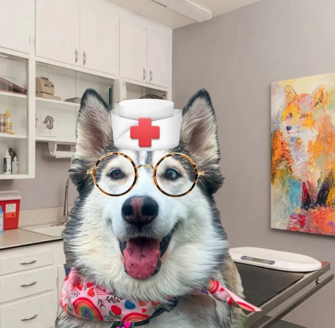 🐾 Dr. Penelopii! The cutest vet in town! 💕🐶 On the Petzbe App, you can do more than just share adorable pics, you can also get real answers about your pet&rsquo;s health! 🩺💬 Whether you&rsquo;ve got a question for a vet, need care tips, or want 