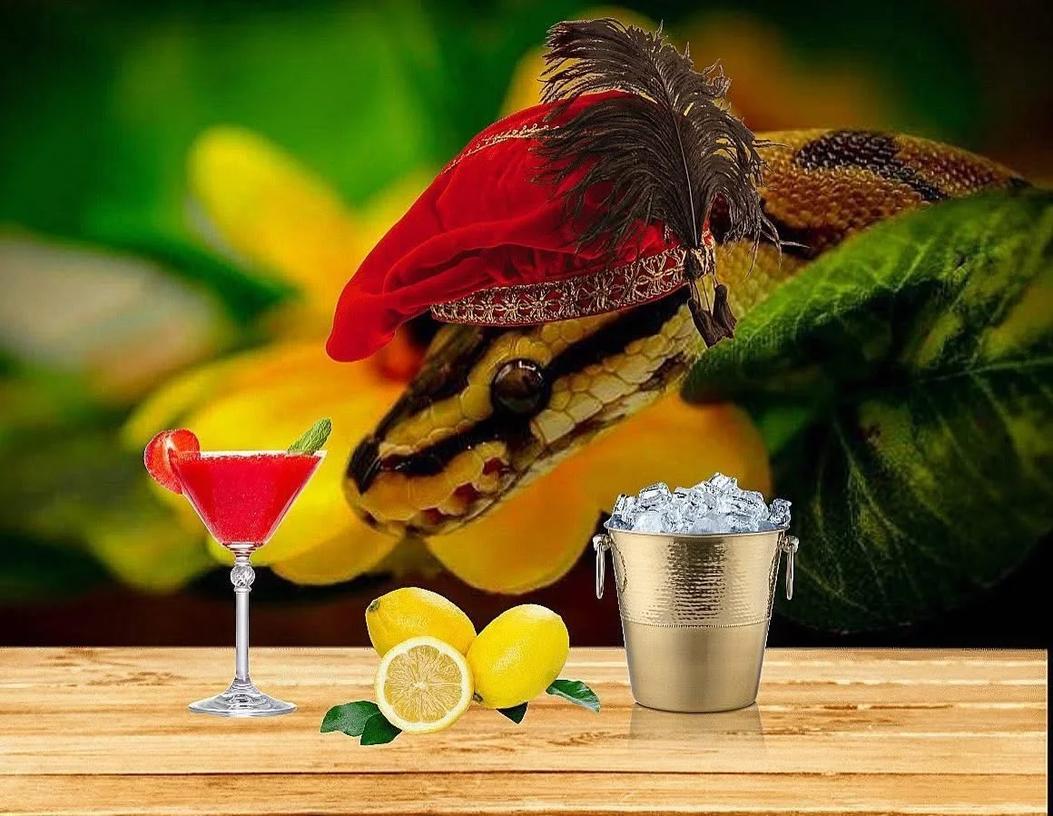 Sssssssssaturday 🐍 Night ✨🍹 Vibes starting the sssseriousssly SsssssTuNNing @ bumblebee_the_snake! 🐍🐝 💖 

Bumblebee has been a beloved part of our community for a very long time &amp; we abssssolutely adore him! 💖 Make sure to *sniff* Bumblebee