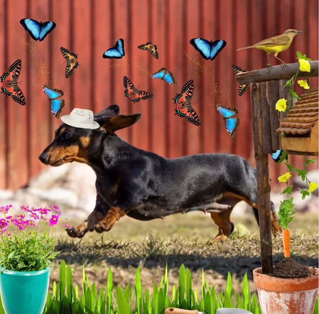 Spring has officially arrived on the Petzbe app, &amp; we&rsquo;re jumping for joy! 🦋✨ From frolicking through the garden in your favorite sun hat to making new furry friends, there&rsquo;s no better place to share your springtime adventures than th