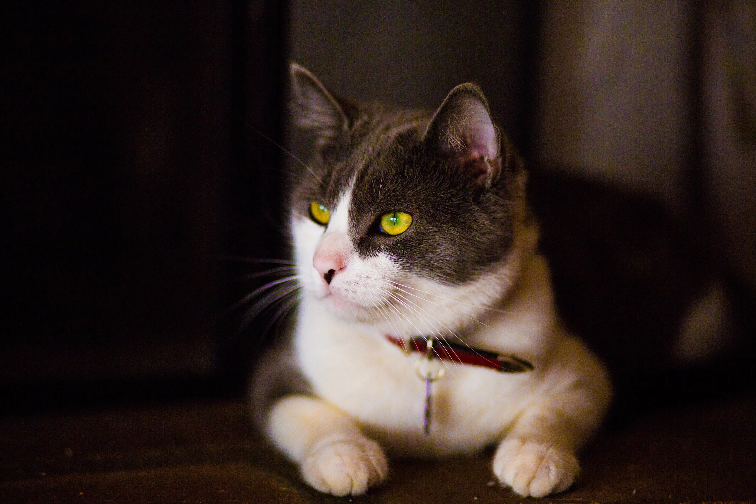 873A8265-X5.jpg