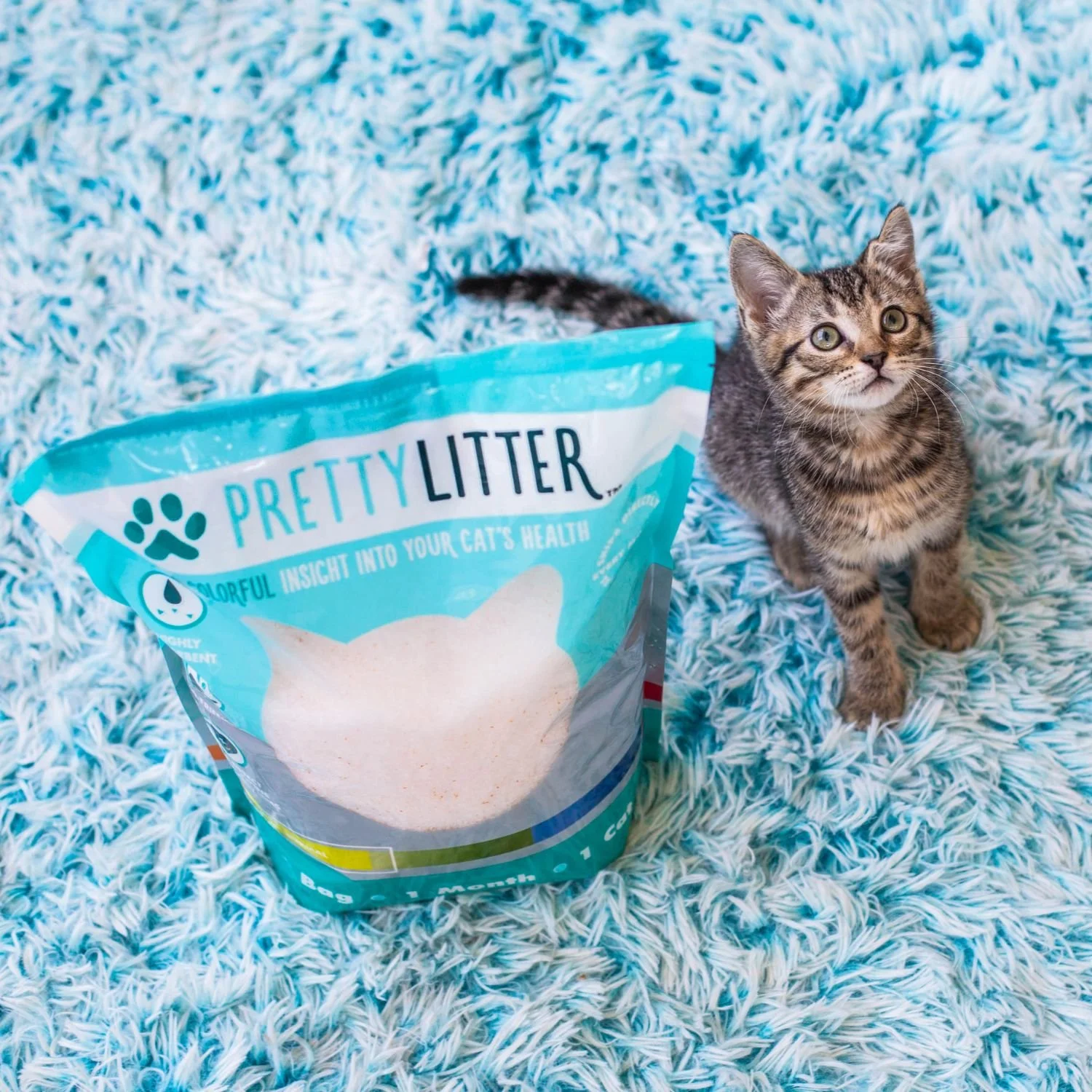 Pretty Litter