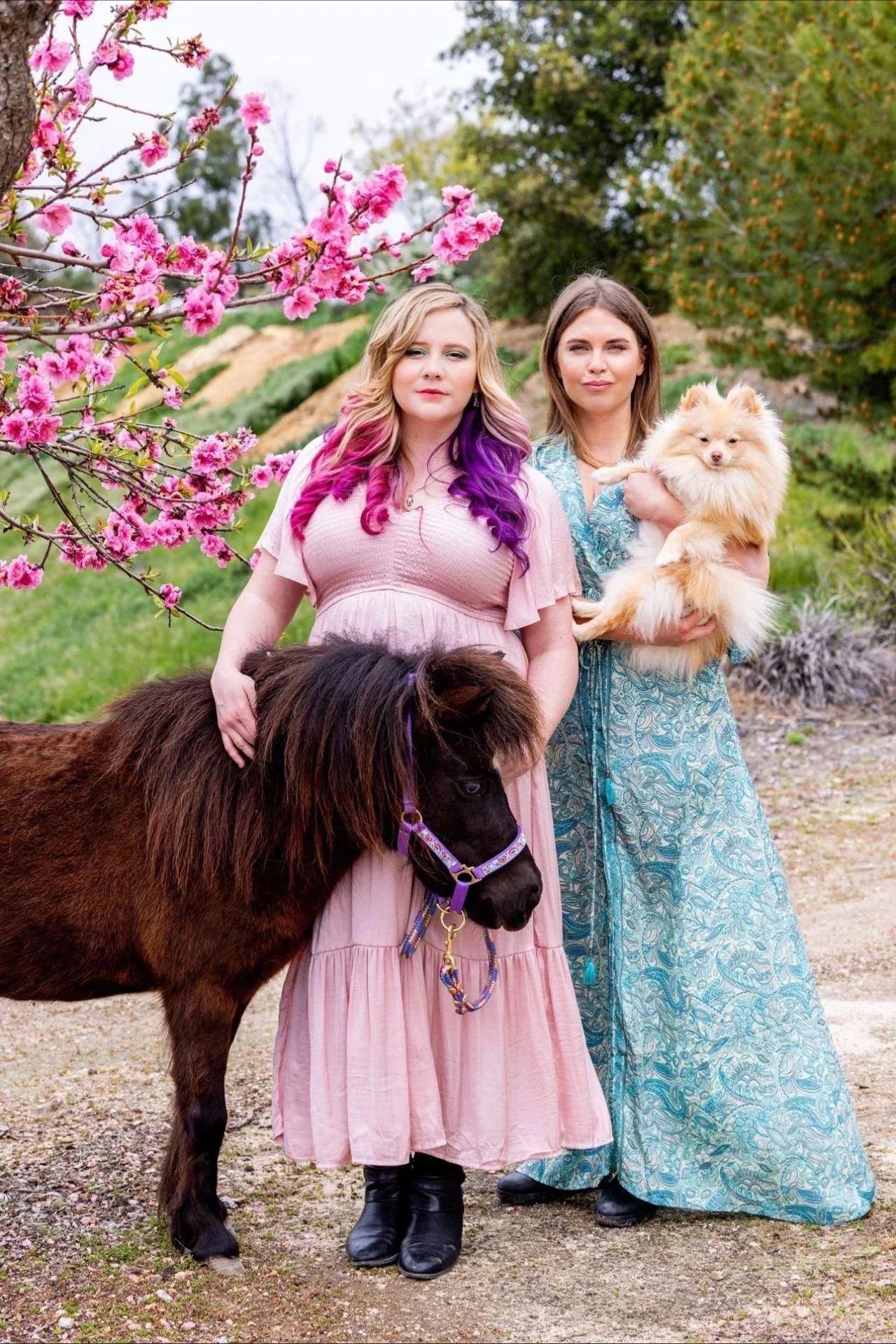 Two women standing outdoors among blooming pink cherry blossom trees, one holding a small fluffy dog, the other with a mini horse. The woman on the left has long, wavy blonde hair with purple tips, wearing a pink dress. The woman on the right has long brown hair, wearing a blue patterned dress. The small dog is light tan with fluffy fur, and the mini horse has dark brown fur with a purple halter.
