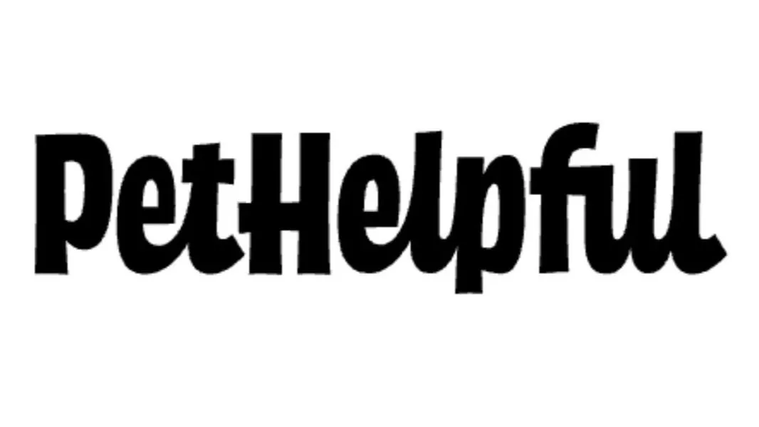 PetHelpful article featuring Penelopii, the Petzbe dog CEO