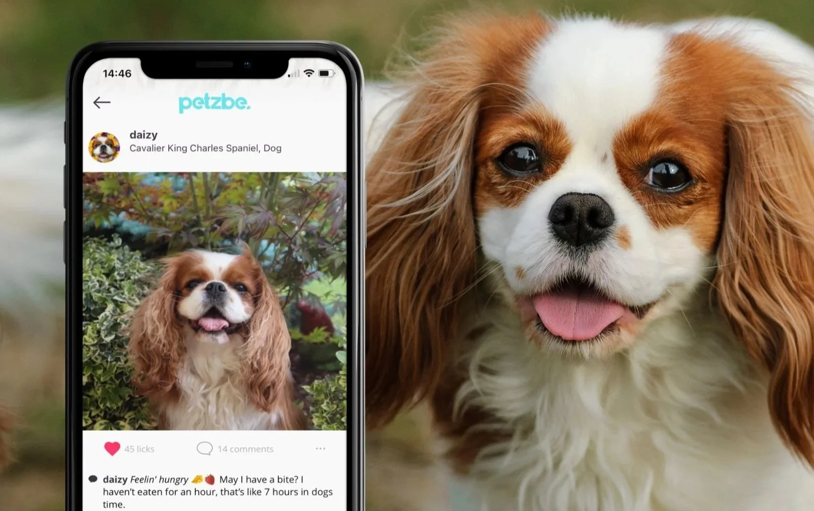 Pet Marketing Agency | We Help Pet Brands Reach Pet Parents