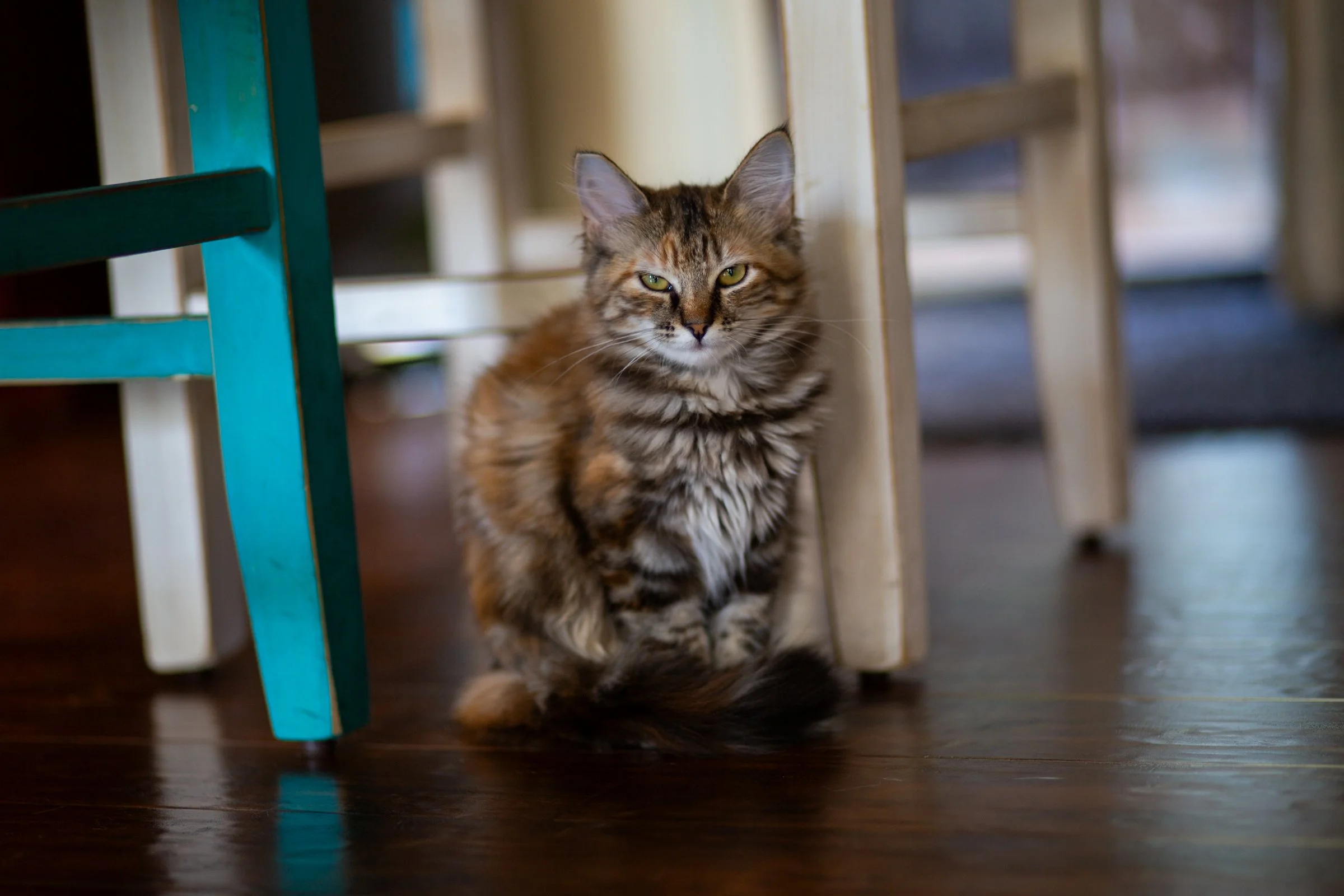 873A7419.jpg