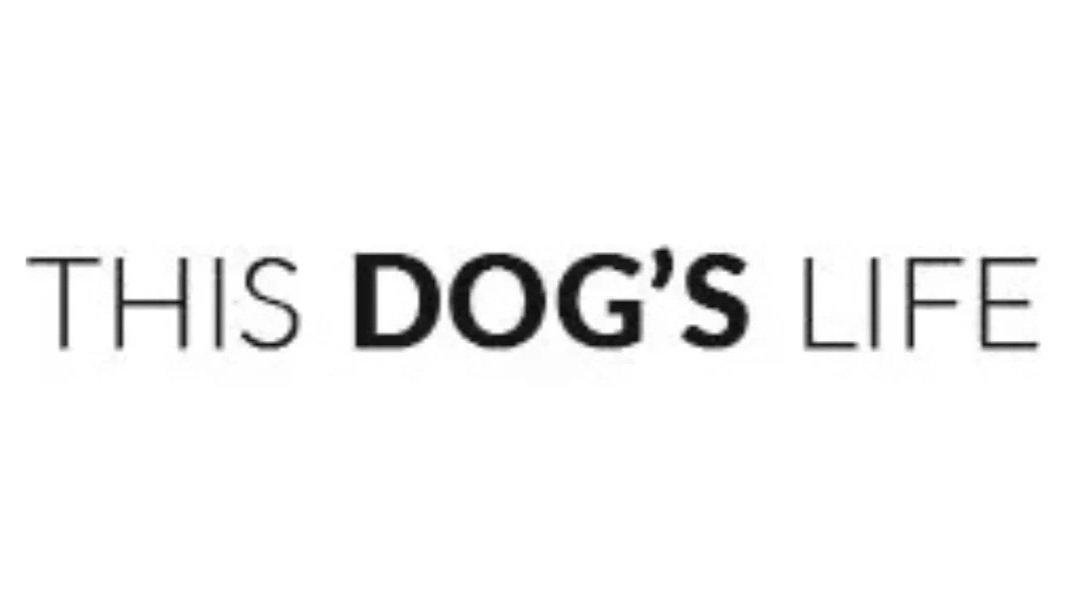 This Dog’s Life feature on the Petzbe pet-only social app