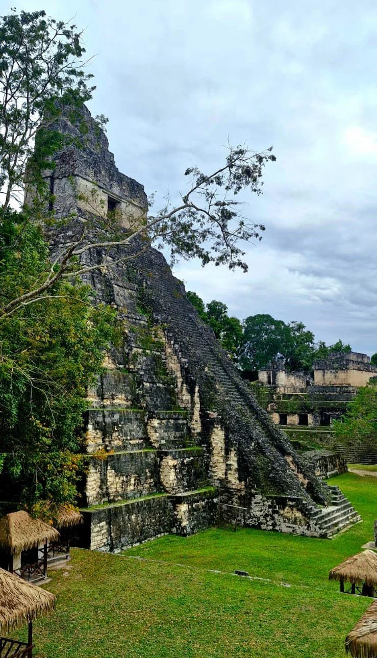 Maya 1.jpg