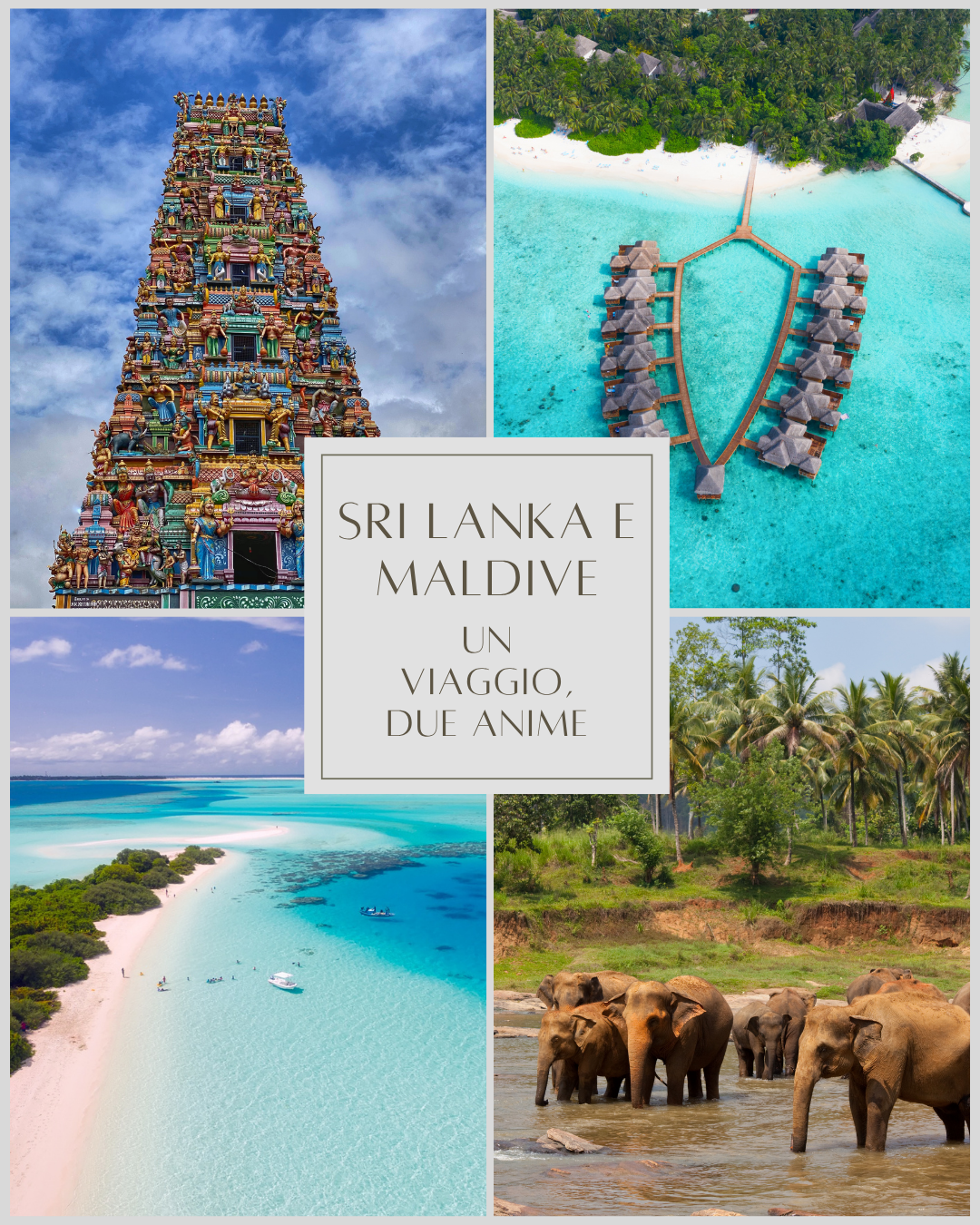 Sri Lanka e Maldive: un viaggio, due anime