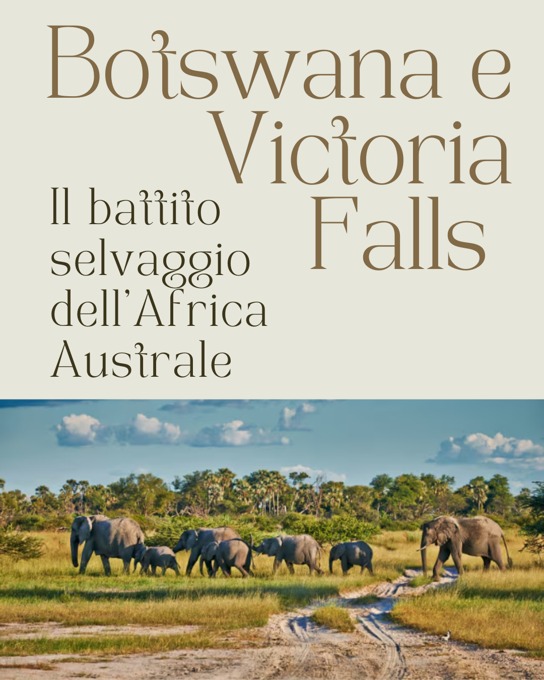 Botswana e Victoria Falls: il battito selvaggio dell’Africa Australe