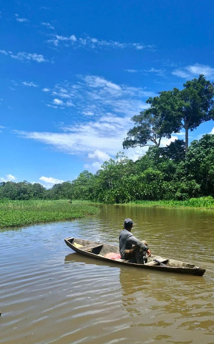 Amazzoonia 2.jpg
