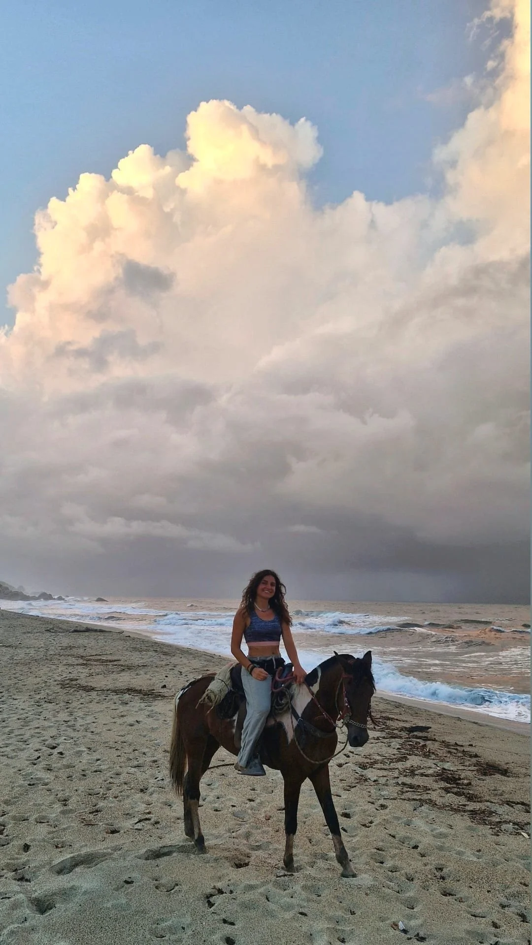 Cavallo Tayrona.jpg