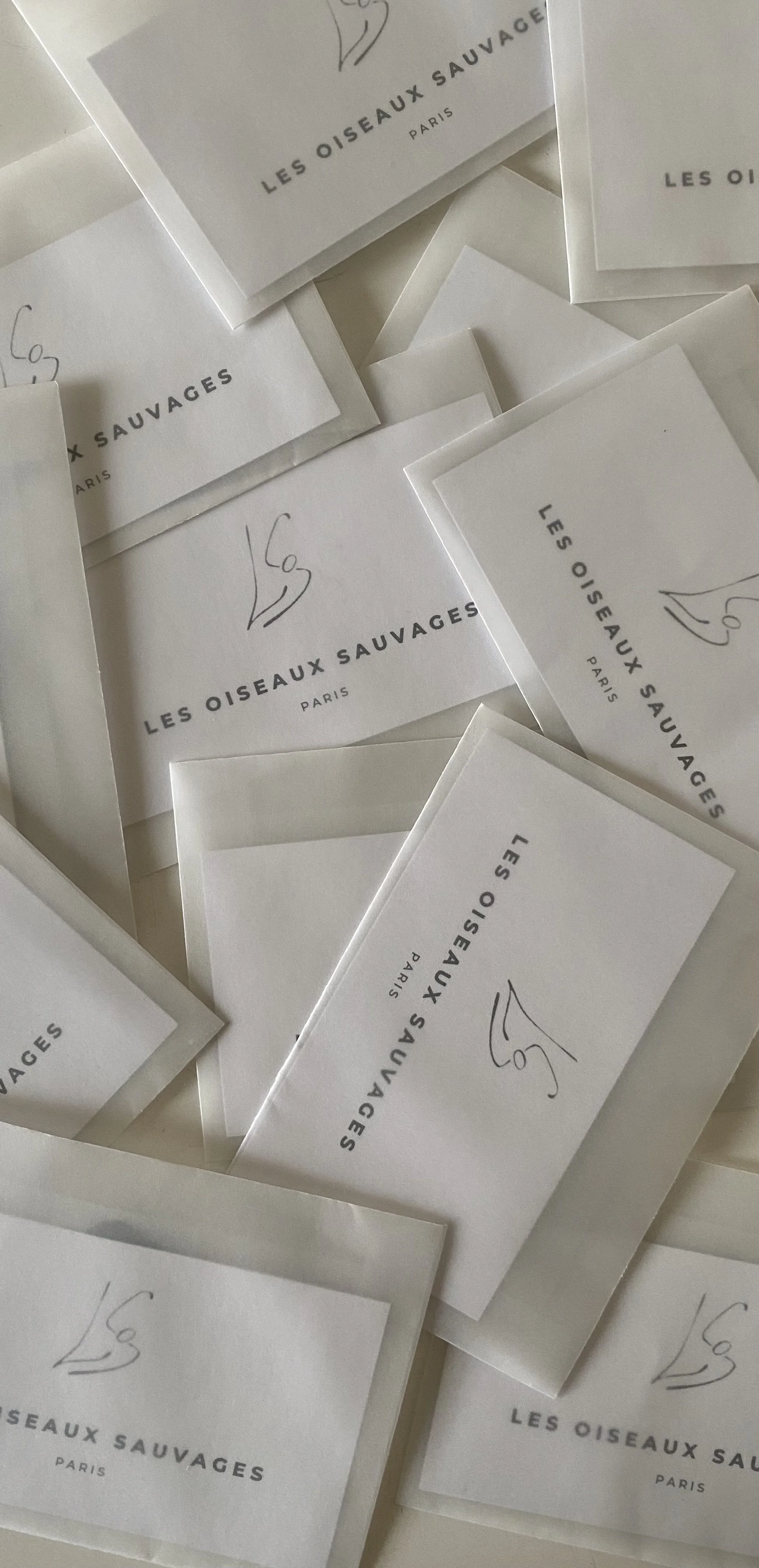 Cartes de visite blanches, disposées en désordre, avec le logo et le nom de la maison de création et production chorégraphique LES OISEAUX SAUVAGES - PARIS.