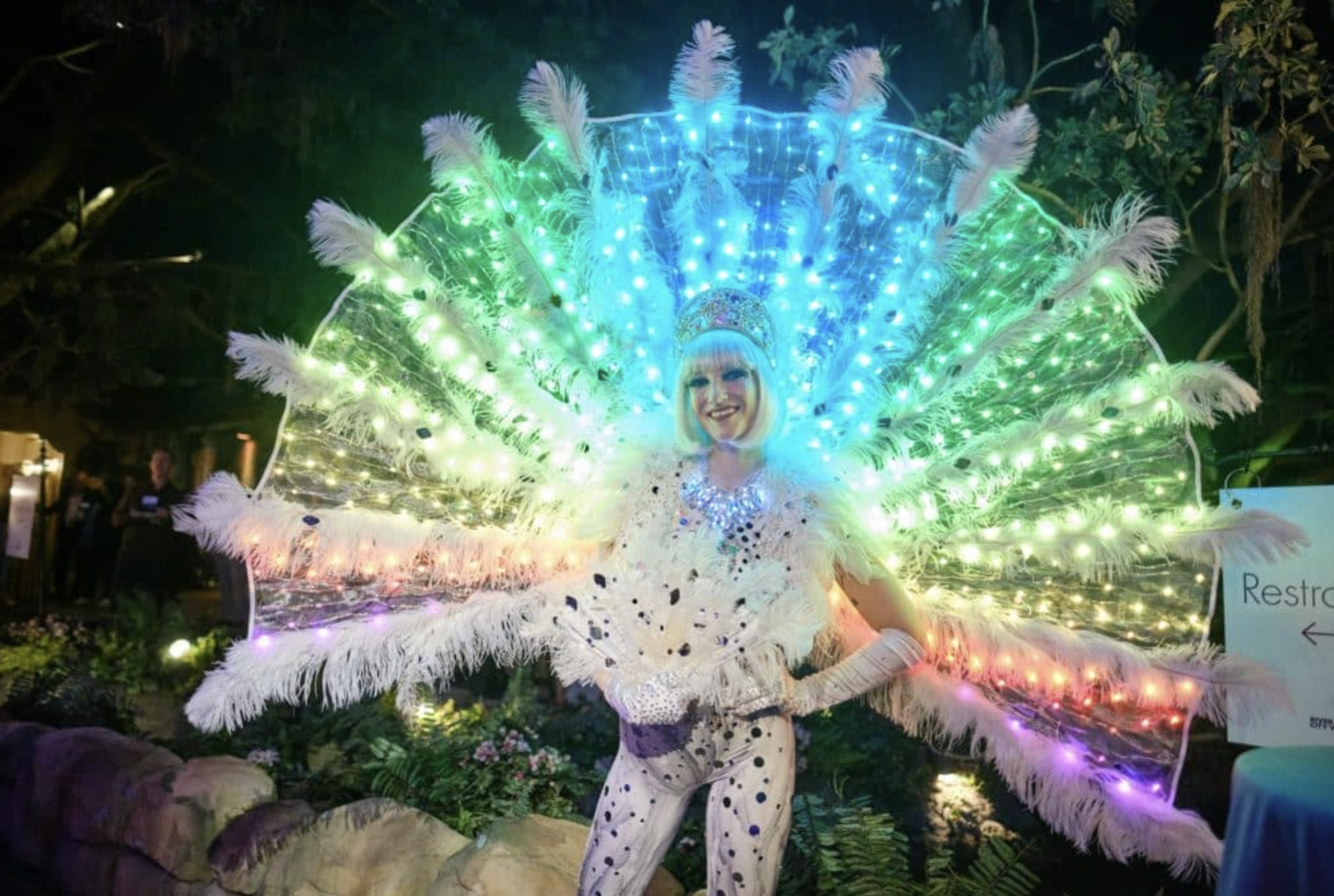nola dmc and gk photography create mardi gras night time parade style event with entertainers.png
