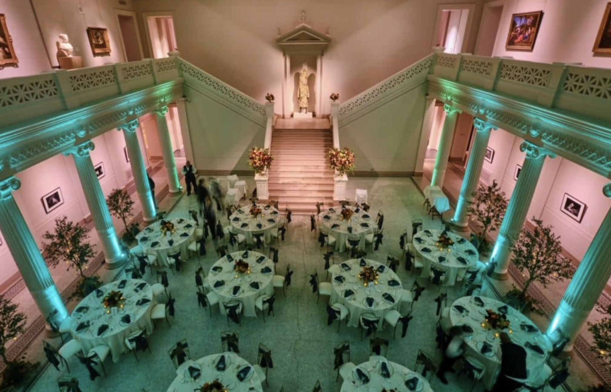nola dmc and gk photography noma green design layout.png