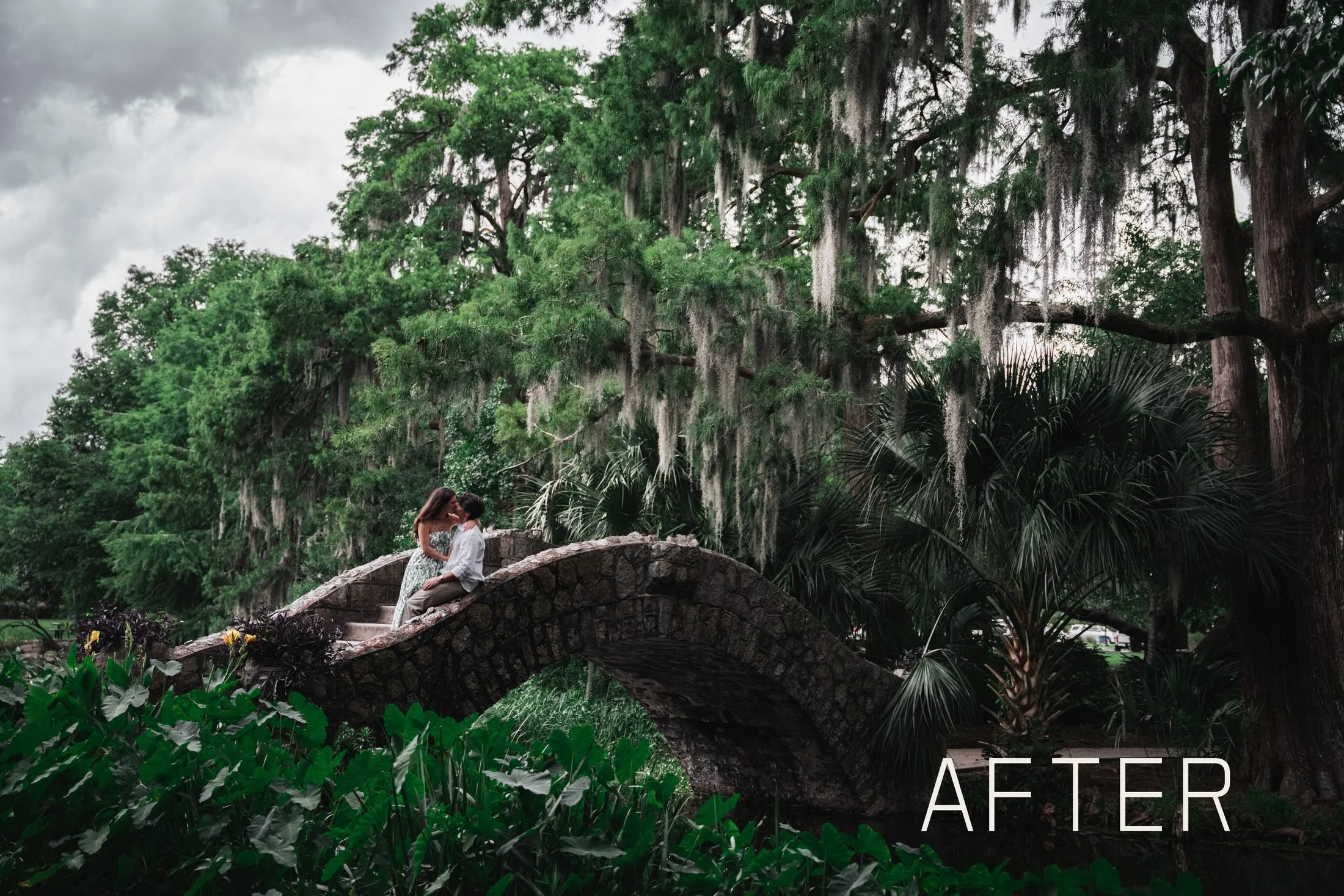 Earthy Brown Tones: My New Lightroom Preset Pack