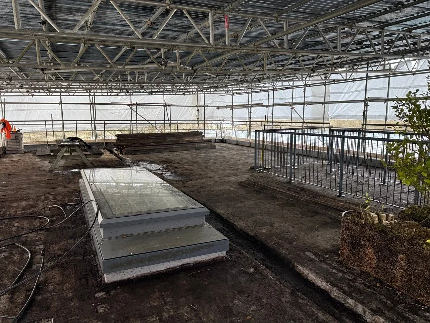 Construction site inside a building with scaffolding, a skylight, and some plants in a pot.