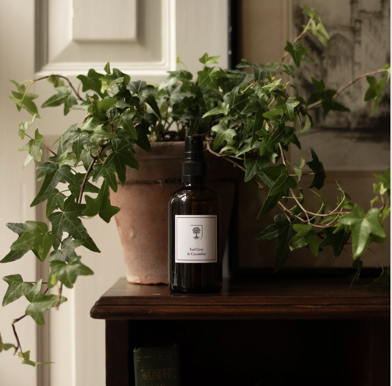 RHS Botanical Room Spray | Earl Grey & Cucumber