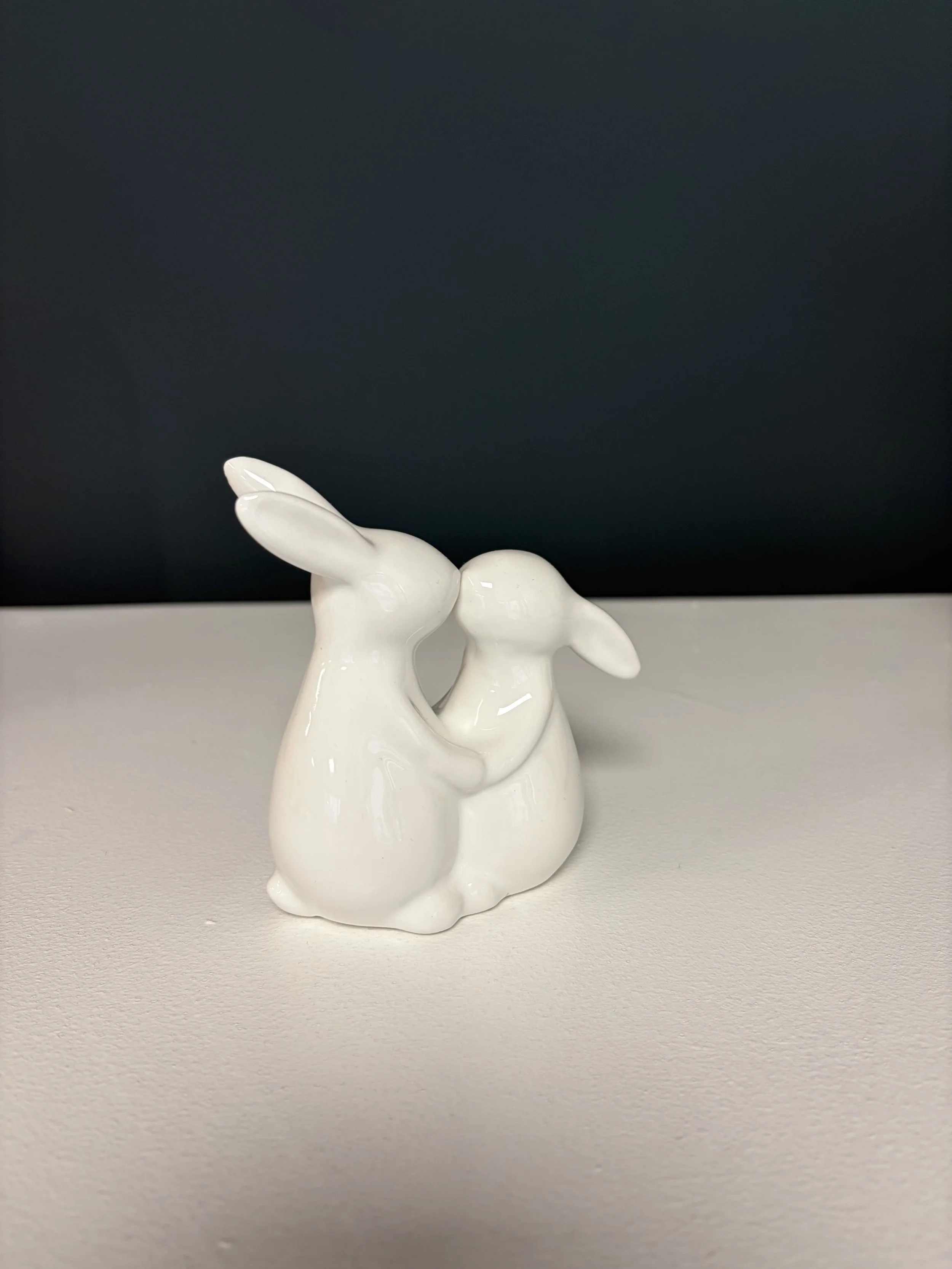 White embracing rabbits