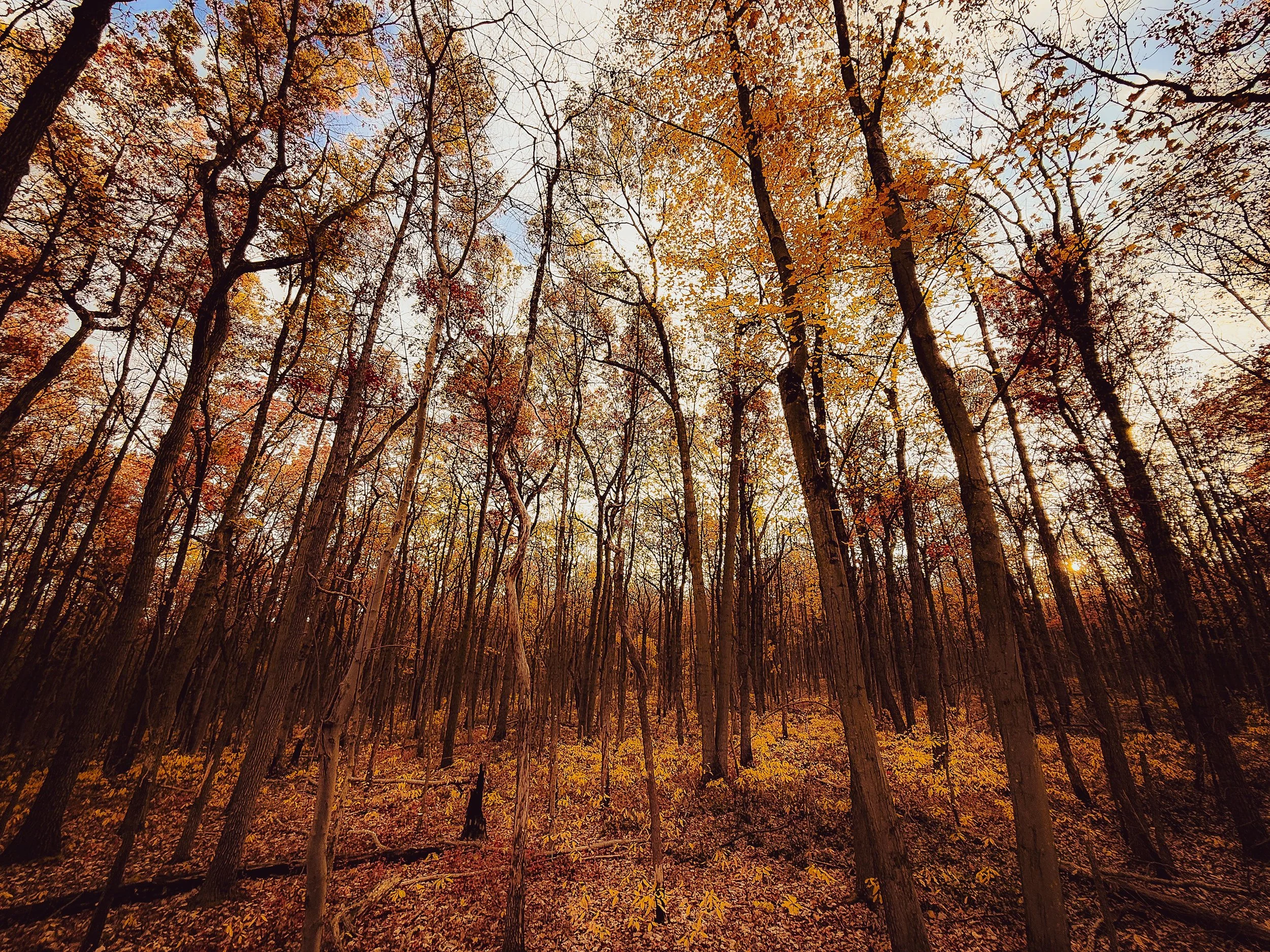 Common Mistakes in Bookkeeping (Inconsistent Categorization)