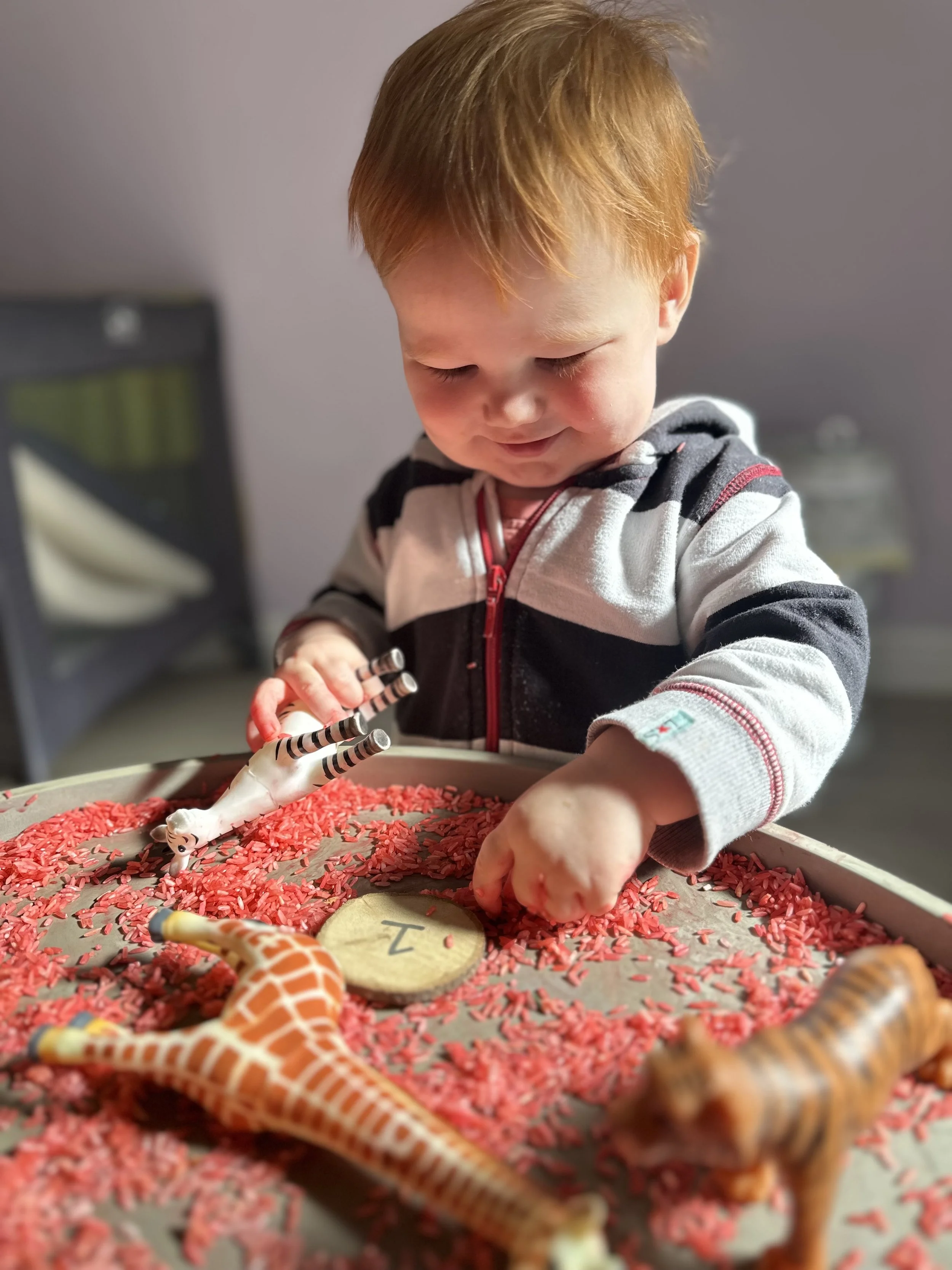 A young boy with reddish hair playing in a sensory bin filled with red rice, surrounded by toy animals, using his hands and tongs.