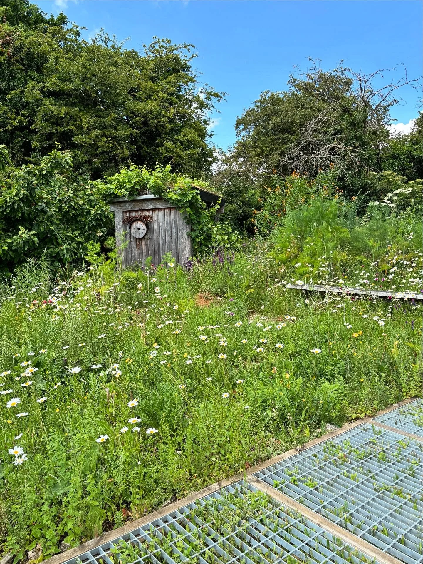 A visit to John Little&rsquo;s &lsquo;ecological theme park&rsquo; in Essex with @londoncollegegardendesign 🪾🌱🐝🦋🕷️

John is inspired by post-industrial landscapes and uses waste materials such as brick, concrete, crushed ceramics and sand as opp