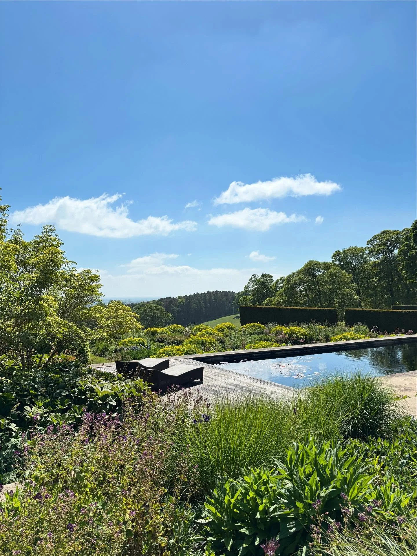 In May I visited the incredibly beautiful and inspiring @mountstjohngardens designed by @tomstuartsmithstudio ✨