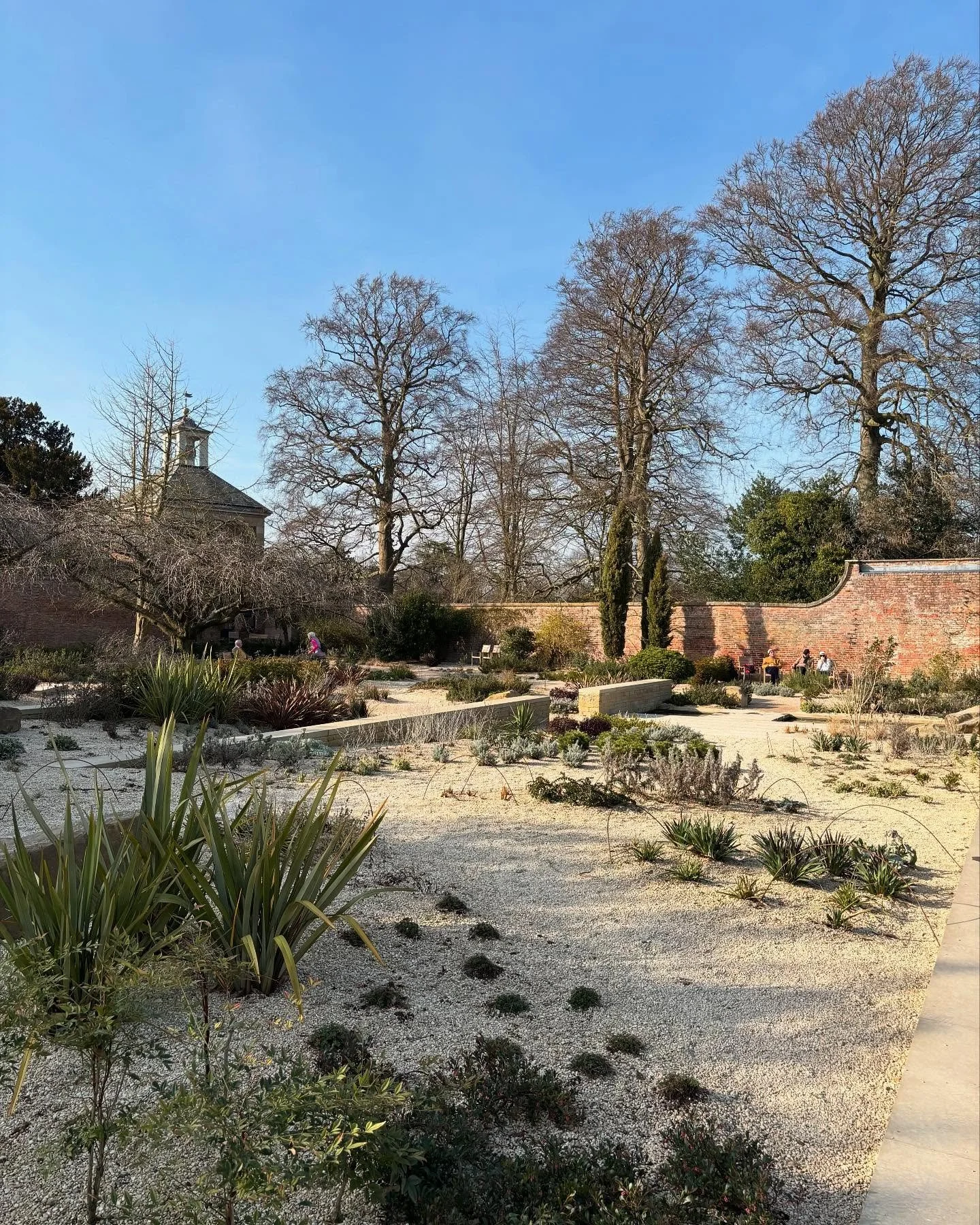 Last week I finally visited the new Mediterranean garden at @ntbeningbrough, which is part of a series of new redevelopments by @andysturgeondesign . The light was magical ✨ I can&rsquo;t wait to see how it evolves.