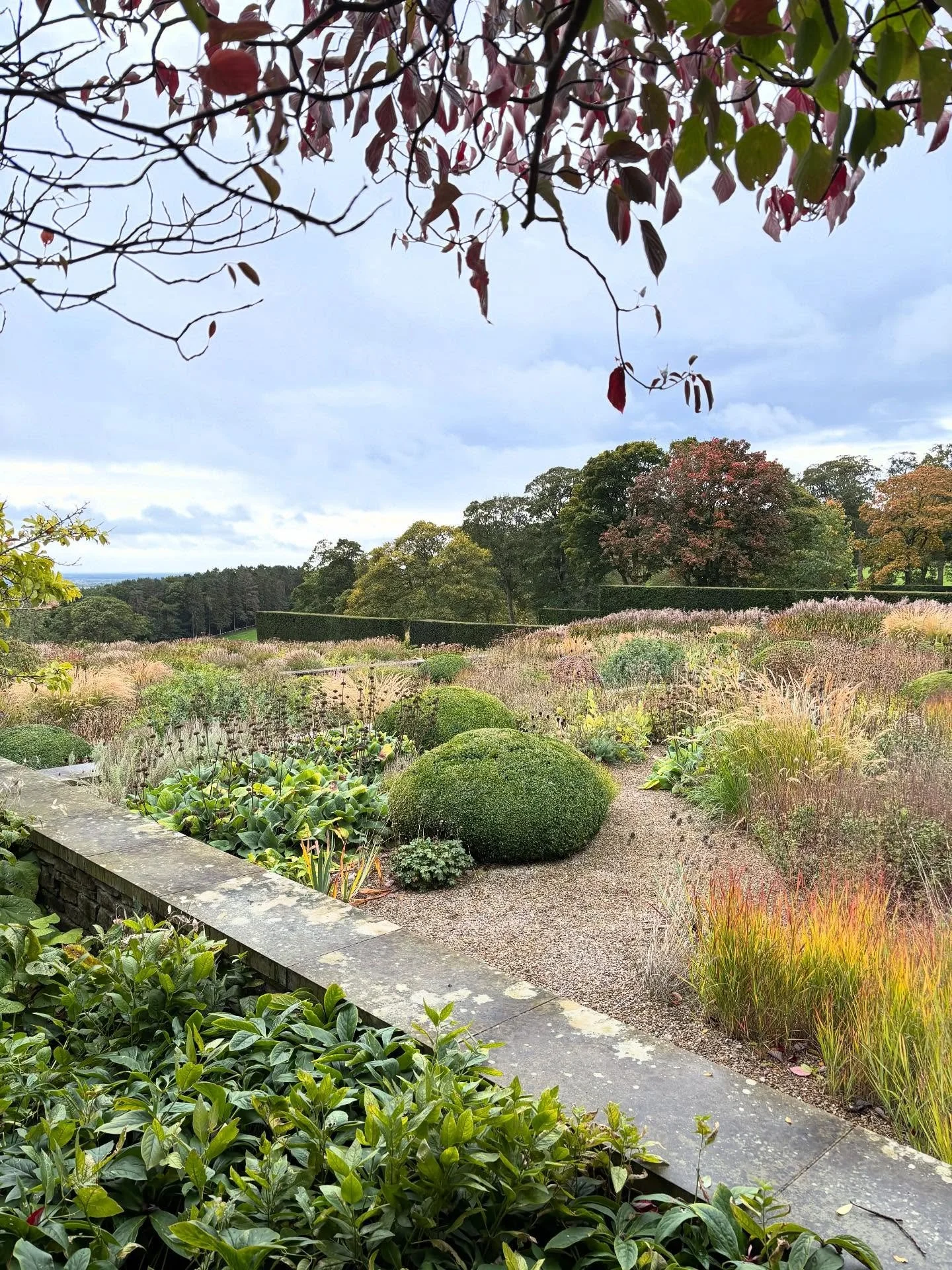 October visit to one of my favourite gardens @mountstjohngardens 🍂