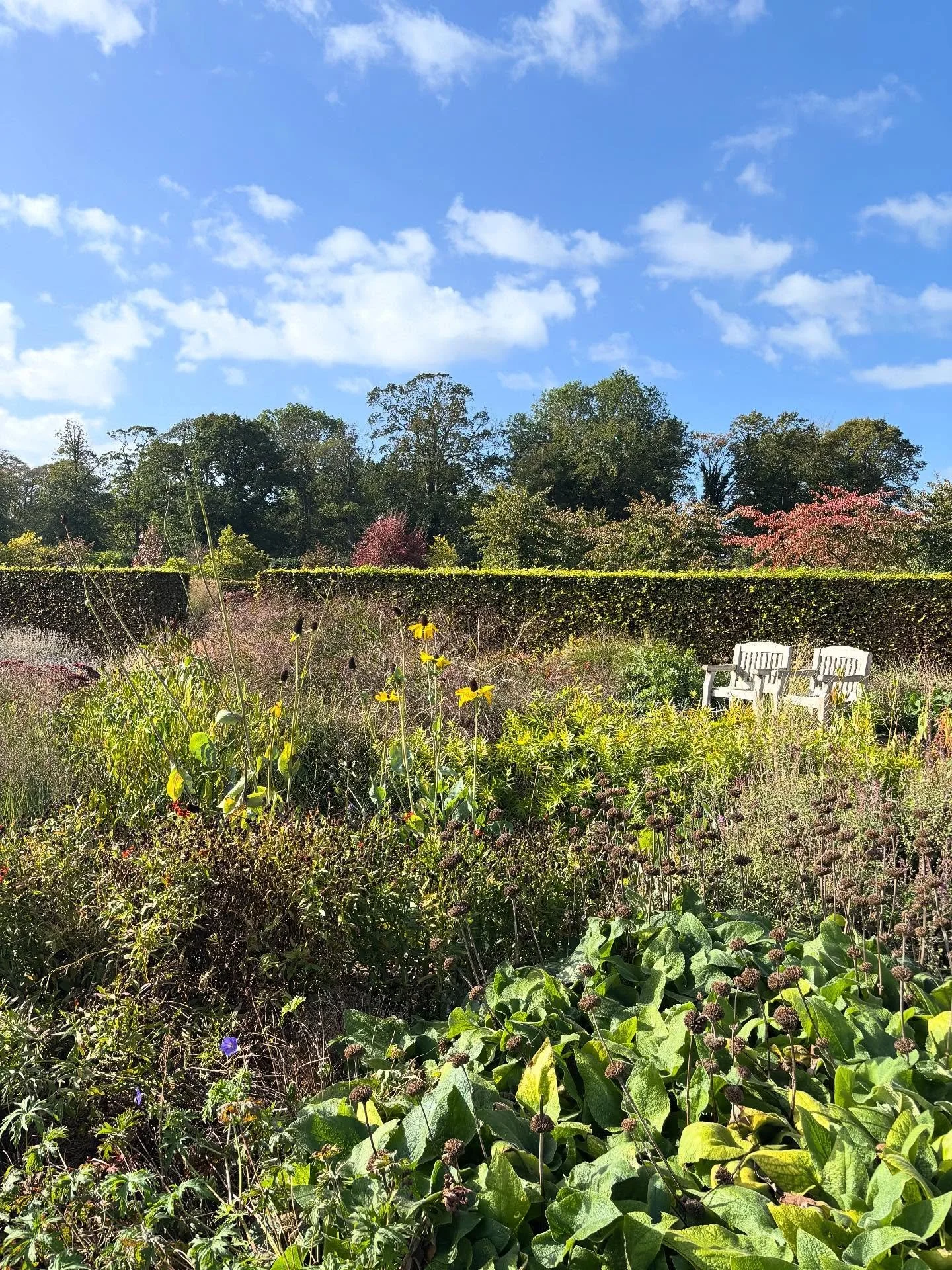 Scampston in early October 🌾🍂🌝