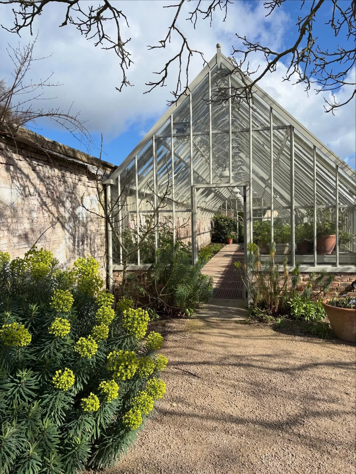 Raby Castle in March - so beautiful 🏰 🌳