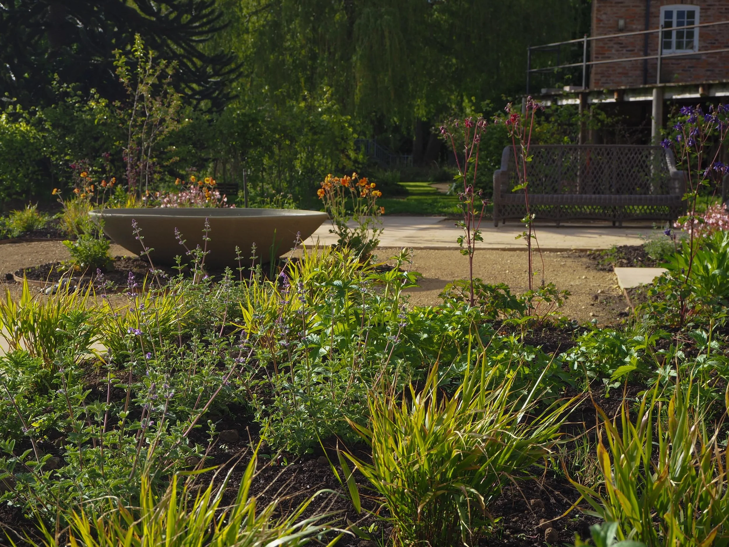 First phase of planting establishing beautifully at our country house project in North Yorkshire