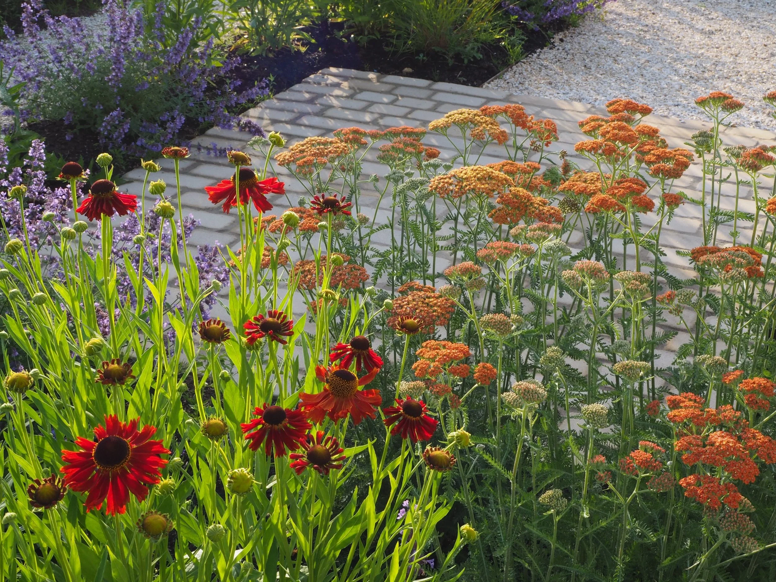 June at our country house project 🌞🌼
