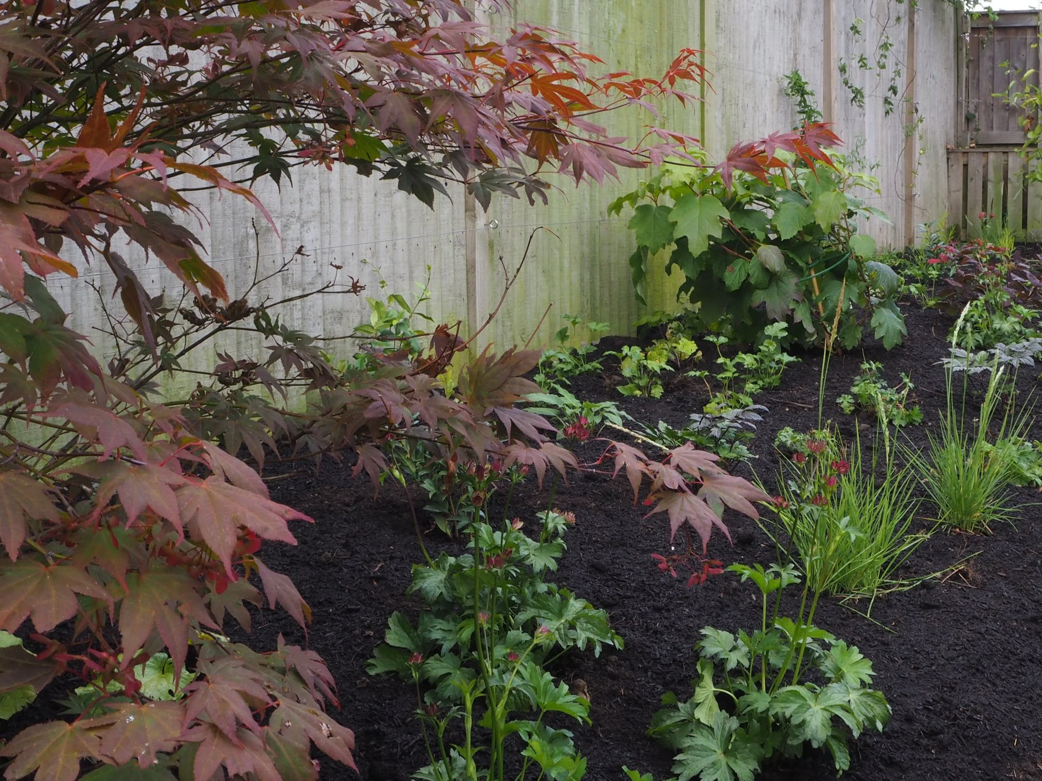 Planting Design | Bishopthorpe