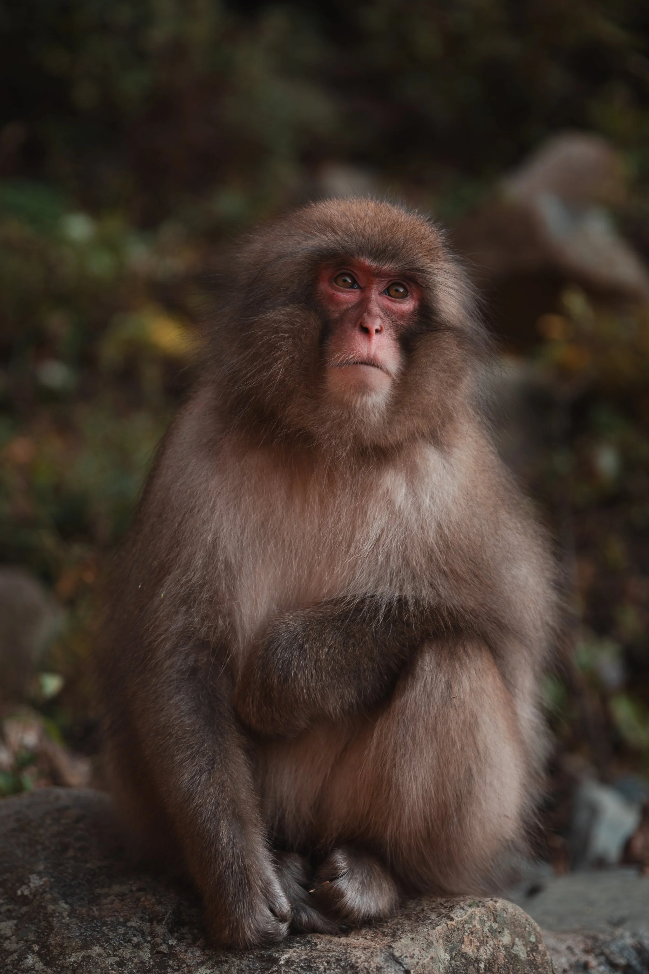 2 Yamanouchi-50-min.jpg