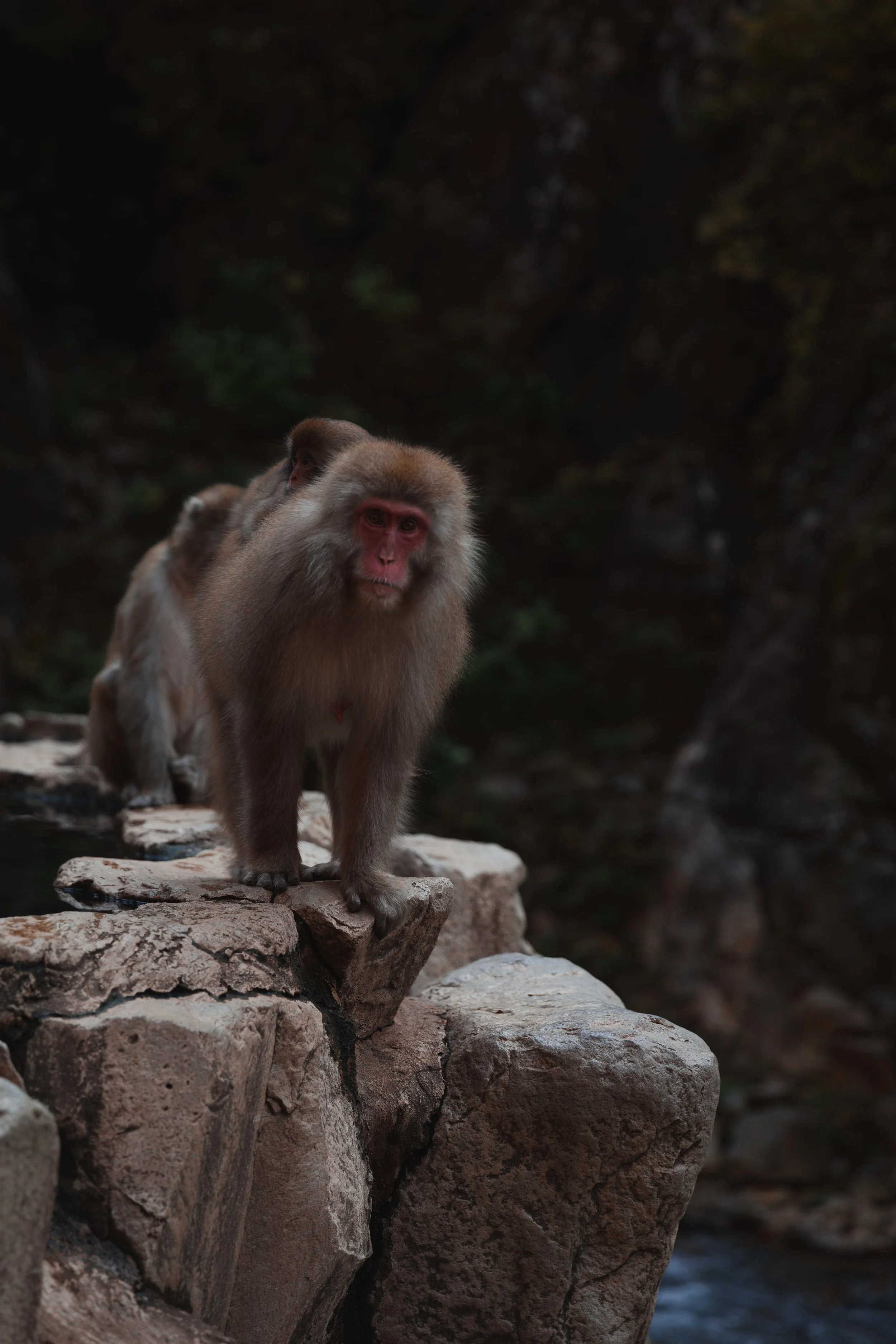 2 Yamanouchi-22-min.jpg