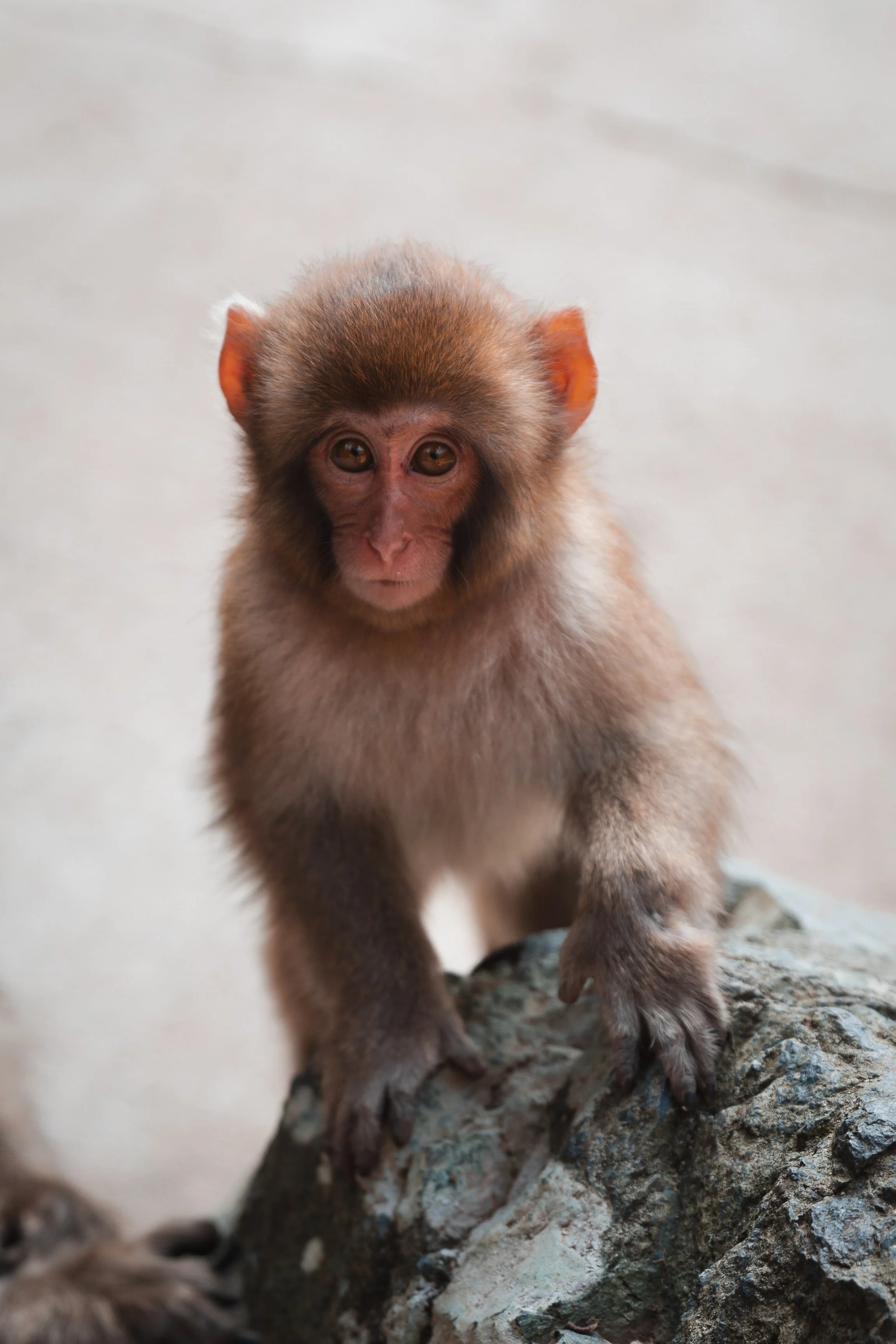 2 Yamanouchi-51-min.jpg