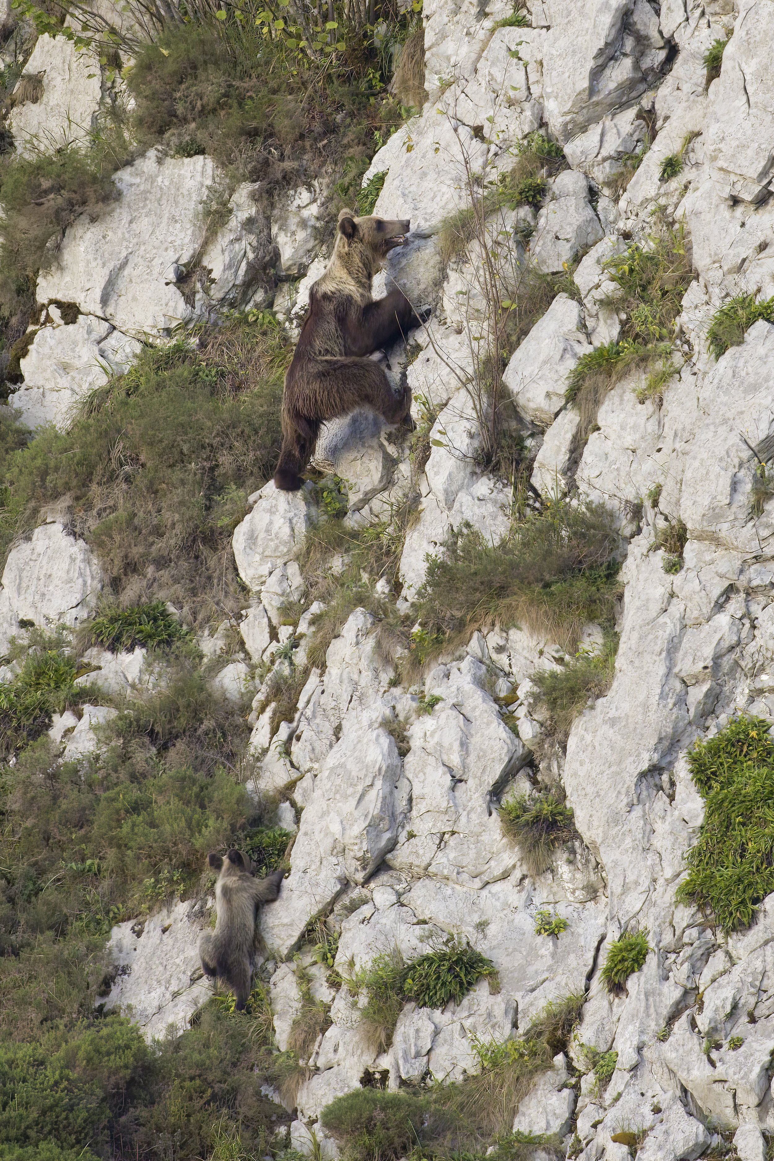 _G3A8887-gigapixel-very_compressed-height-7086px-cropped copie.jpg