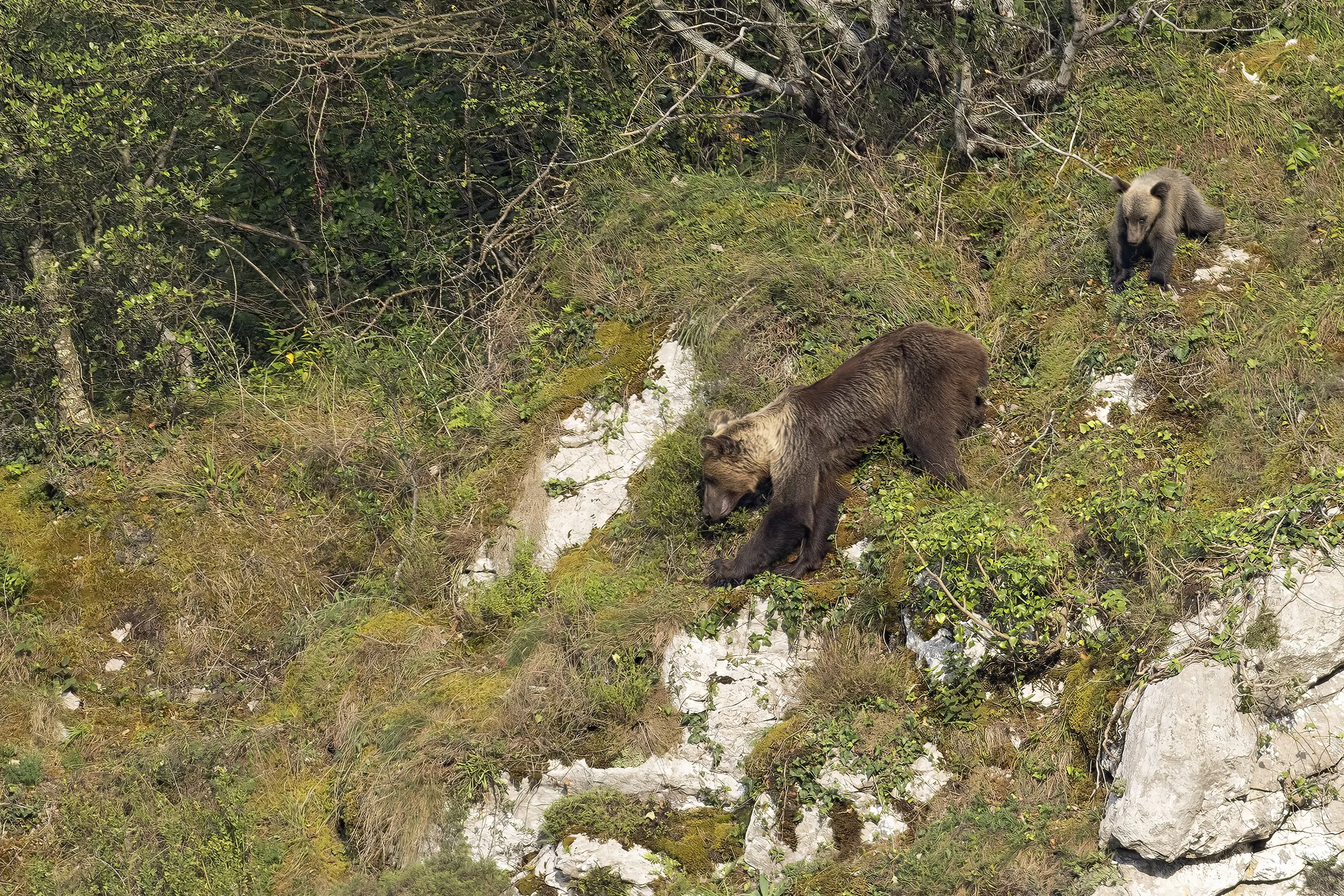 _G3A8769-gigapixel-very_compressed-width-7086px-cropped_b_imprimé copie.jpg