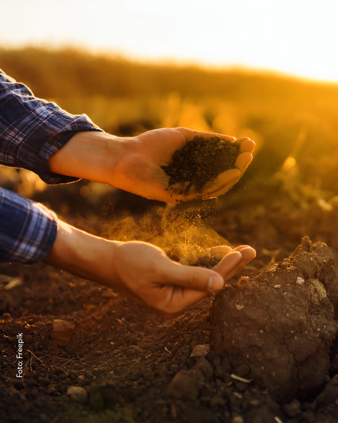 Zeit für die Feldbeurteilung